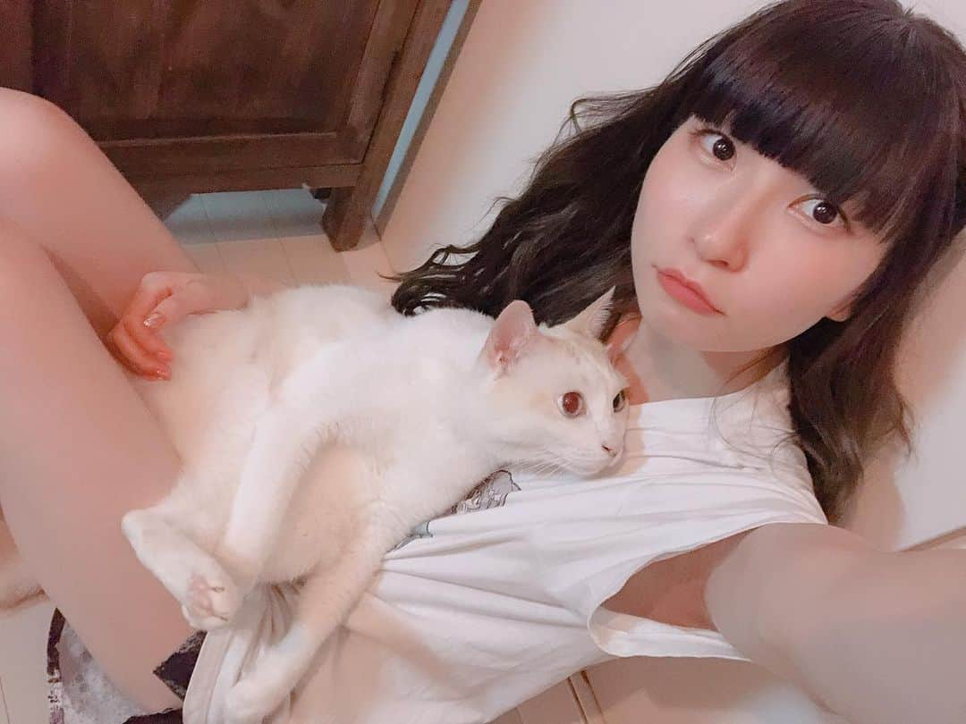 ピンキー！☆藤咲彩音さんのインスタグラム写真 - (ピンキー！☆藤咲彩音Instagram)「家に居ても落ち着きなくずっと動いてるから、たまには止まってゆっくりするのもいいね。カナル。 #きょうのカナル #愛猫」7月29日 12時13分 - pinky_ayane