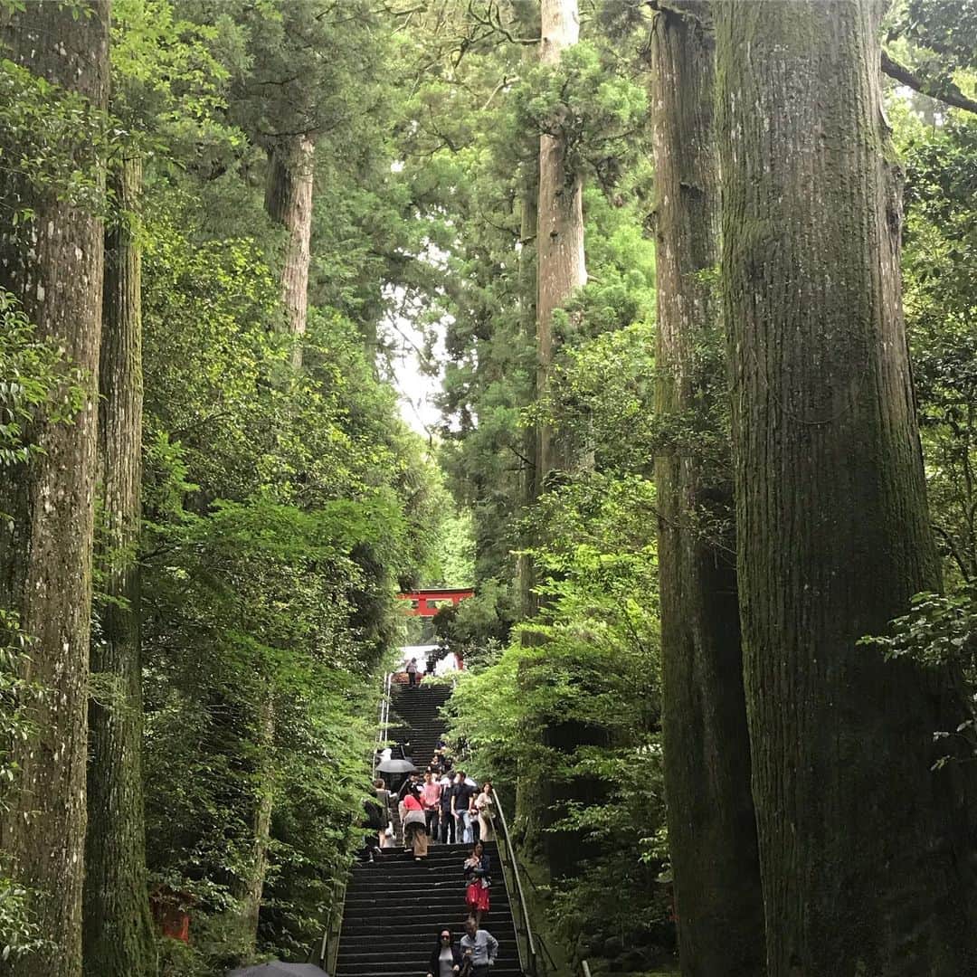 ノブ さんのインスタグラム写真 - (ノブ Instagram)「緑はいいよなぁ。 箱根神社。 九頭龍神社。 #礼じゃなくて拝 #ニッポンドリル」7月29日 13時01分 - noboomanzaishi