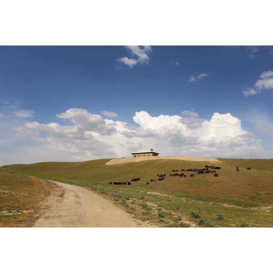テレビ朝日「世界の街道をゆく」さんのインスタグラム写真 - (テレビ朝日「世界の街道をゆく」Instagram)「ウズベキスタンのオアシス都市を繋いだシルクロード。街道沿いには人々の様々な暮らしがあります。 緑に覆われた丘陵地帯で羊の放牧を目にしました。羊を追う老婦人が「自分の村に是非寄って」と、声を掛けてくれました。 チロクチという20軒ほどの家がある集落。迎えてくれた一家が「ここでは育てた羊の毛で織物を作っている」と言います。 奥さんが、昔ながらの手法で毛糸を紡ぎます。 染め上げた毛糸を使って機織りが始まります。「中央アジアに暮らす遊牧民の女性たちは、ずっと昔からこうして布を織ってきたの」と、若奥さんが言います。 「色合いと模様は遊牧民の伝統よ」と奥さんが顔を綻ばせます。 草原の温もりを感じながらさらに進むと、山並みが見えました。 オアシスに向かって道は続きます。  #世界の街道をゆく #キヤノン #テレビ朝日 #坂東巳之助 #canon #シルクロードIII #オアシスの道 #ウズベキスタン #ўзбекистонреспубликаси #uzbekistan　 #チロクチ #чироқчи」7月29日 13時16分 - tvasahi_kaidou