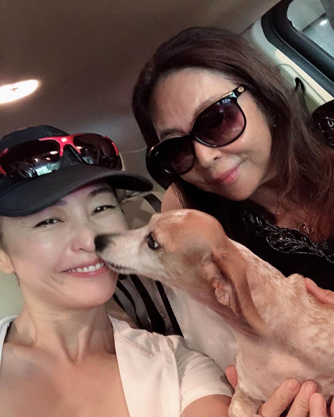 のインスタグラム：「トレーニング帰りにきなこお迎え😍🐶😍❤️ #ありがとマミー #kunako #mybaby #美容アンチエイジング専門医 #黒田愛美」