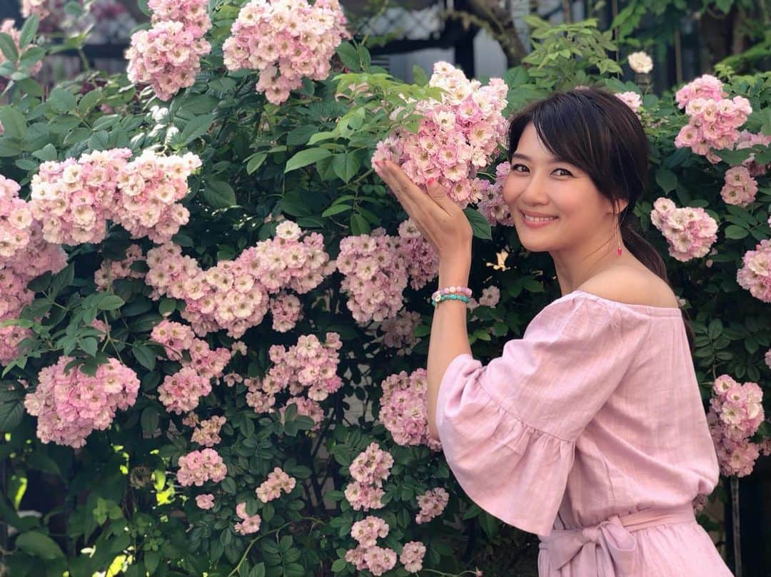 藤崎奈々子のインスタグラム