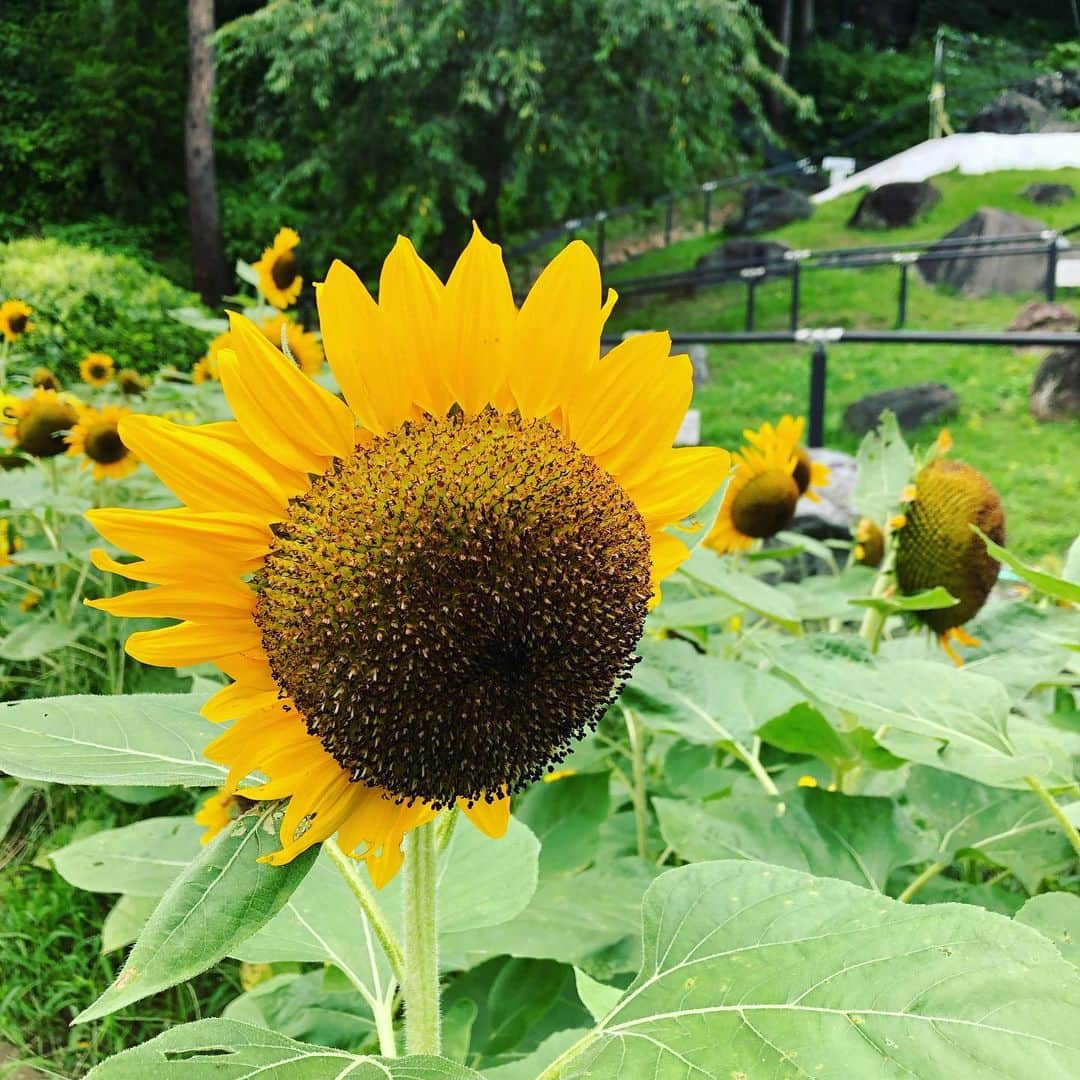 石川由香里のグルメインスタ