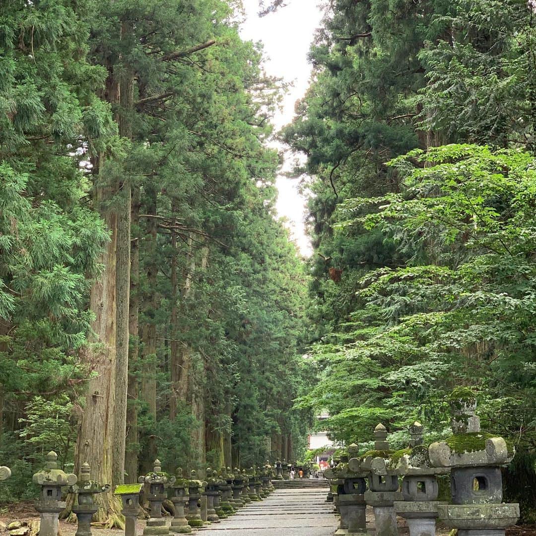 佐伯三貴のインスタグラム：「プチ夏休みも終わり今週からまた試合モードに入ります😊👍 今日は会場の近くの富士浅間神社へ参拝にいきました😌  木々が逞しくパワーを貰えた気がします😊  #冨士浅間神社」