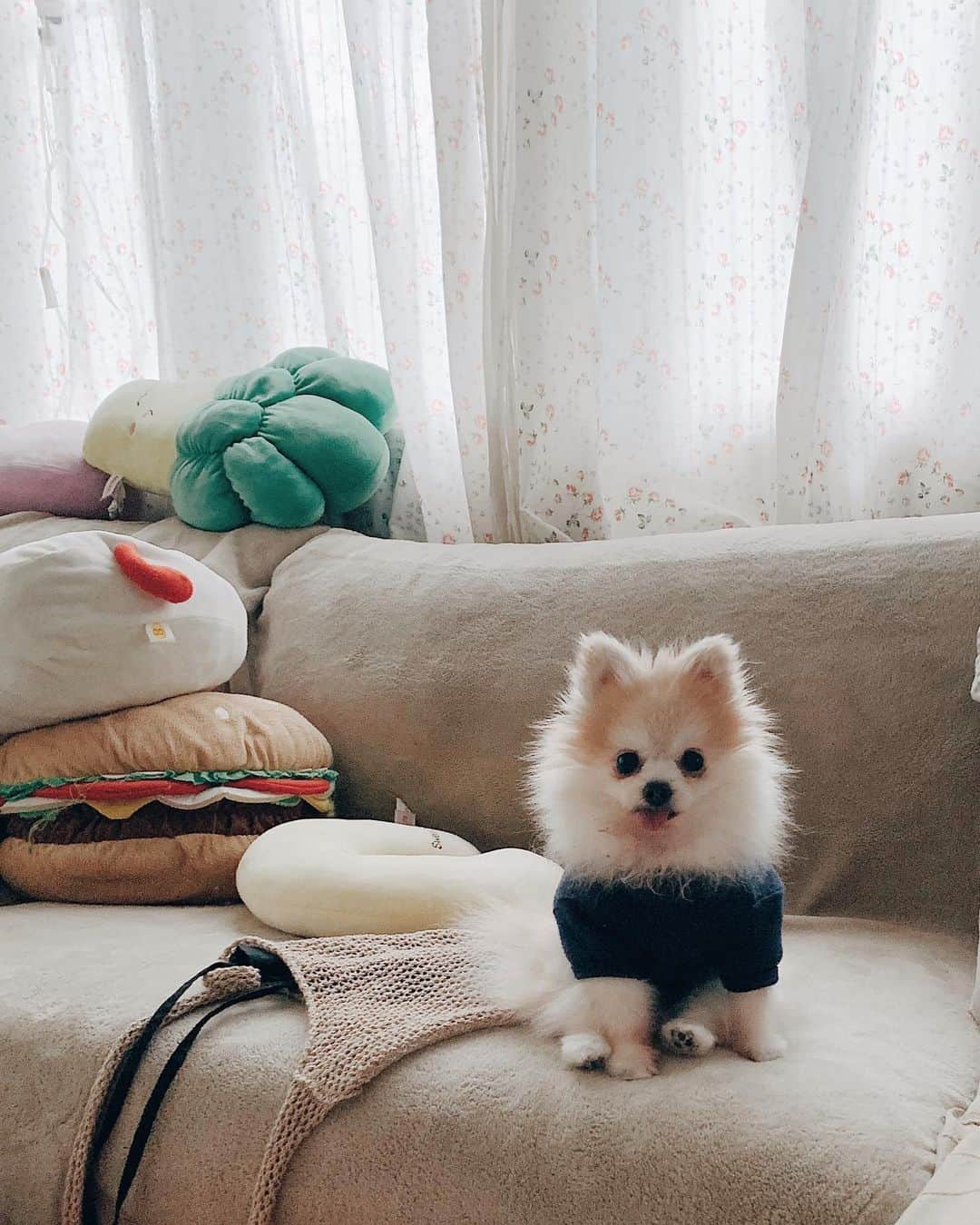 r_oseのインスタグラム：「Hug me pwease 🐰〰️ #sittingpretty」