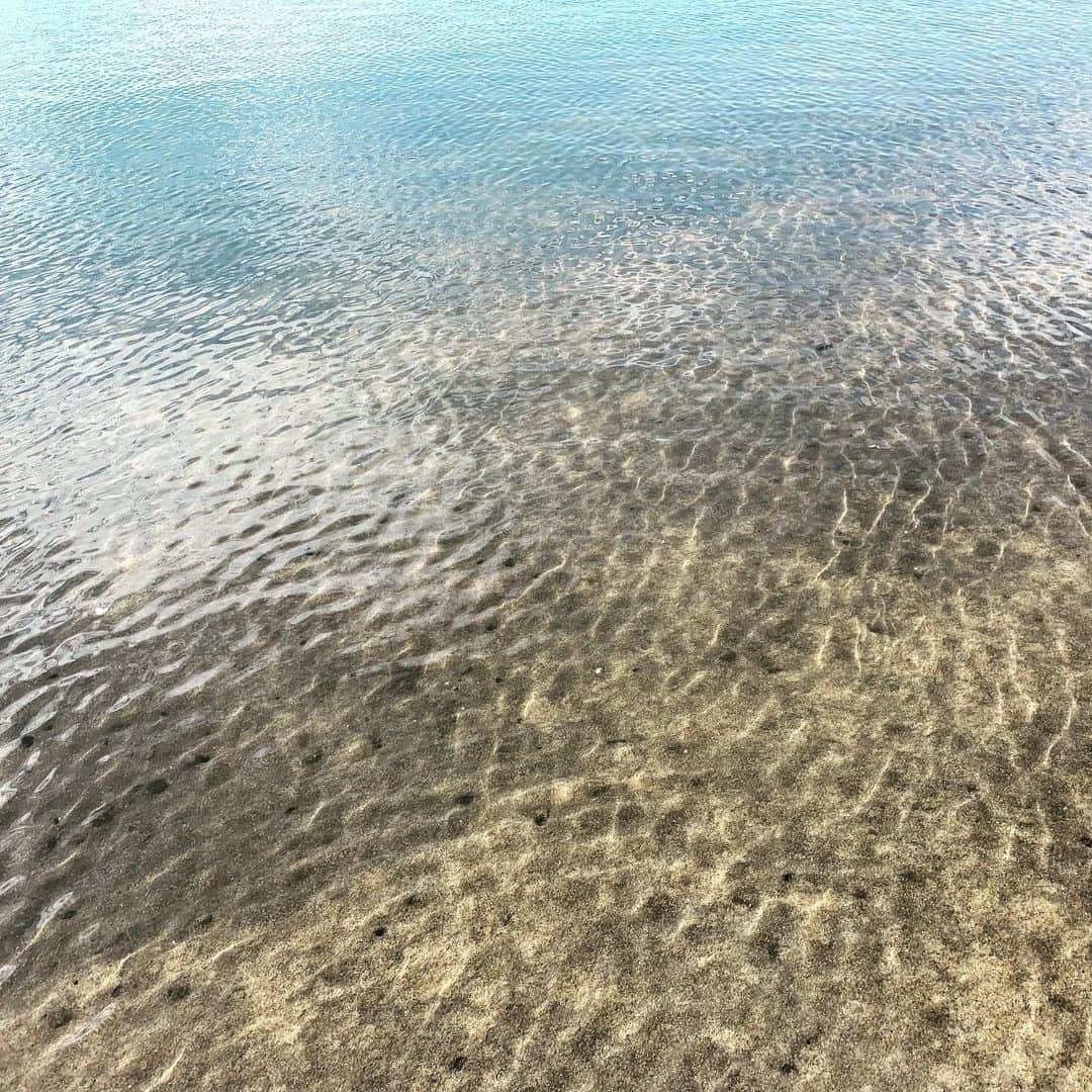 澤田百合亜さんのインスタグラム写真 - (澤田百合亜Instagram)「屋久島旅行 最終日 その3  錦江ブルーって言う飲み物を飲みました。 とっても爽やかだった…！暑い夏にはちょうどいいおいしさでした。  桜島にあるレインボー海水浴場に。 透明感やばい。 すごい綺麗でした。鹿児島の海、透明感半端ない。すごい。 ちょうど動画撮った時に海と太陽が反射していて青い光も入ってるのエモくて最高だった。。 この後フジツボで盛大にかかとを切ってやばいことになってたんですけど、冷静にタオルで止血してすぐ近くのローソンでキズパワーパッド購入して応急処置。痛かったけどそんなに痛くなかったんで大丈夫でした。(帰宅2日目から痛み始めたけど) そんなことよりも周りの景色がすごく綺麗で痛いどころじゃなかった。笑 泳ぎたかったー！笑  また桜島フェリーに乗って空港行きのバスに。桜島フェリー160円は安い。  鹿児島駅前あたりめっちゃ渋滞するから飛行機間に合うかヒヤヒヤだったけどなんとか大丈夫だった。  飛行機乗って、東京を下から眺めたらすごく綺麗でした。 感動。  ということで、鹿児島ひとり旅、無事に終わりました。 楽しかったなぁ。  おわり。  #屋久島 #鹿児島 #桜島フェリー #桜島 # Kagoshima #海 #海水浴場 #海辺 #怪我 #錦江湾 #錦江ブルー #飛行機 #東京の夜景 #japanesegirl #japanese #japan #japantrip」7月29日 17時03分 - yuria1991