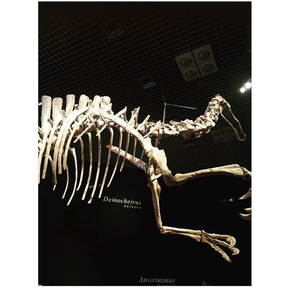 氏家恵さんのインスタグラム写真 - (氏家恵Instagram)「おもしろかった〜🦕🦖 小さい子から大人までおススメ🦴 #恐竜博  #恐竜博2019  #上野 #国立科学博物館」7月29日 17時05分 - ujiiemegumi