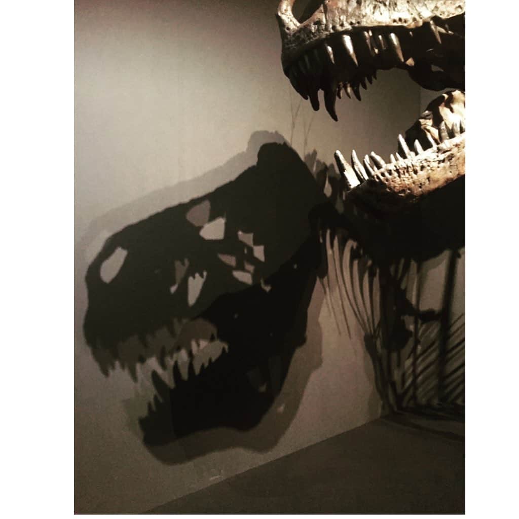 氏家恵さんのインスタグラム写真 - (氏家恵Instagram)「おもしろかった〜🦕🦖 小さい子から大人までおススメ🦴 #恐竜博  #恐竜博2019  #上野 #国立科学博物館」7月29日 17時05分 - ujiiemegumi