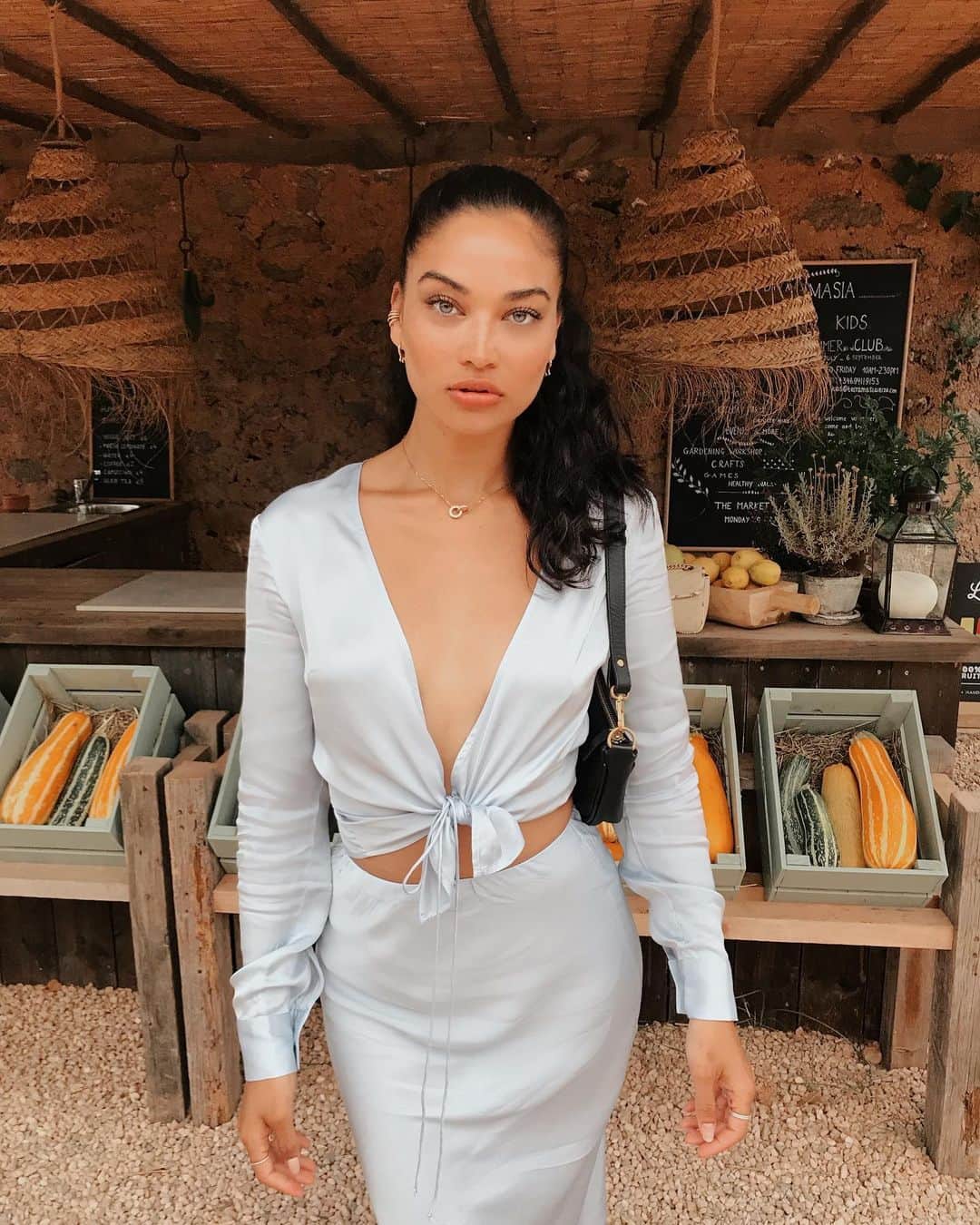 シャニーナ・シャイクのインスタグラム：「Cause I’m icy ❄️ 🦋」