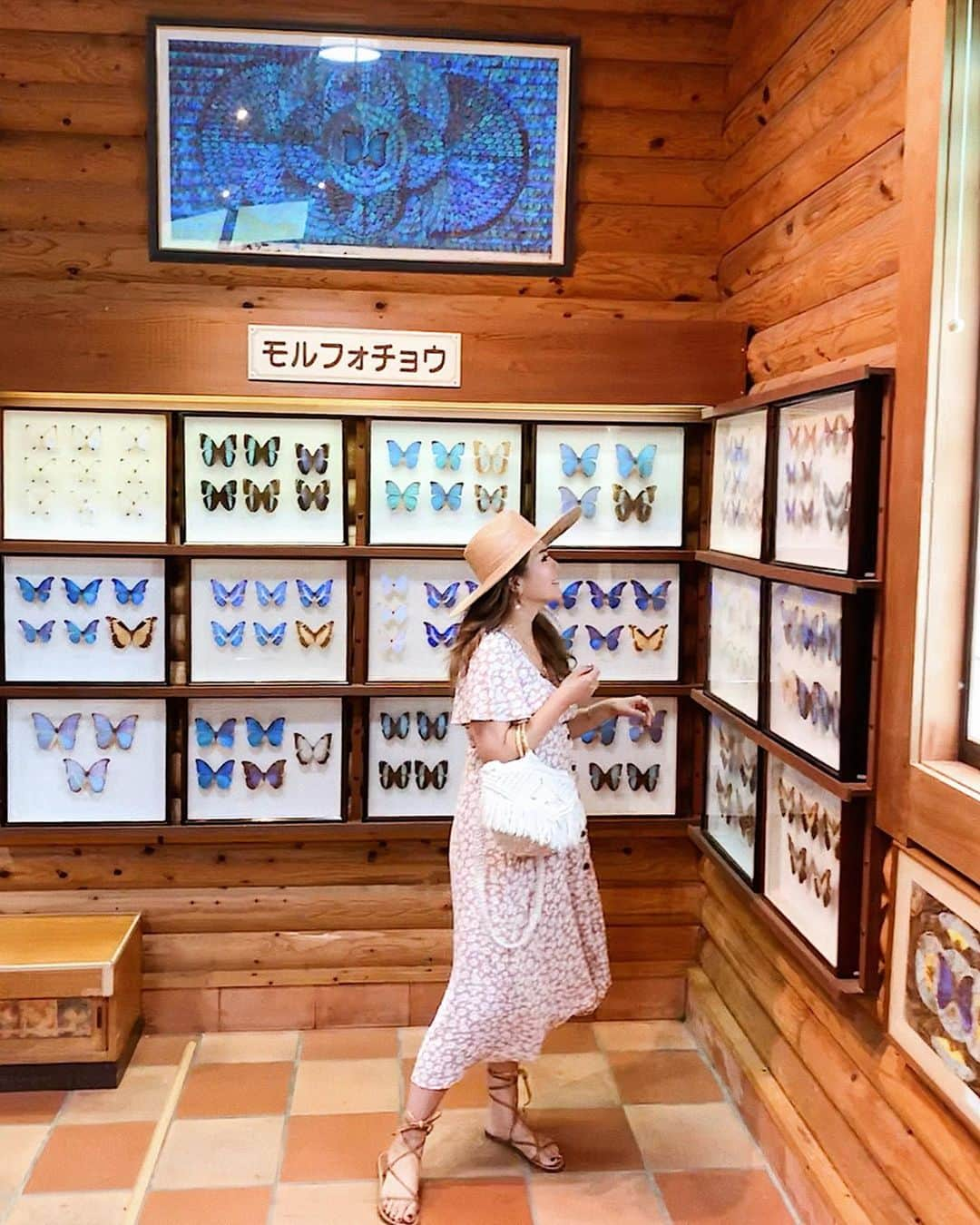 misatoさんのインスタグラム写真 - (misatoInstagram)「🦋 夏休み前から 息子たちの付き添いで昆虫尽くし🐞😂 もう、“さかなクン”さんみたいに “こんちゅうくん”になってくれればいい🤔🔎 . 独身時代は“昆虫なんてーーー！” って大騒ぎしてたけど 今では息子たちより平気になってて 手乗りカブトムシもクワガタも カマキリもバッタも全然平気‼︎😂👍🔥 . . 息子達がカブトムシに夢中の間に 私はチョウチョ鑑賞♡ . 自然の色って本当綺麗だなー☺︎ こんな色使いが可愛いなぁ😍 って思いながらいつも見てる🦋✨ . . 👗👜: @sandlessmoon 👒: @lackofcoloraus 👡: @zara . . #ママファッション#ママコーデ#ワーキングママ#ワンピース#ストローハット#hat#lackofcolor #ootd#outfit#coordinate#マクラメ編み#夏コーデ#fashion#蝶々#昆虫博物館#butterfly#モルフォ蝶#藤枝#岡部#玉露の里」7月29日 17時24分 - leialoha319