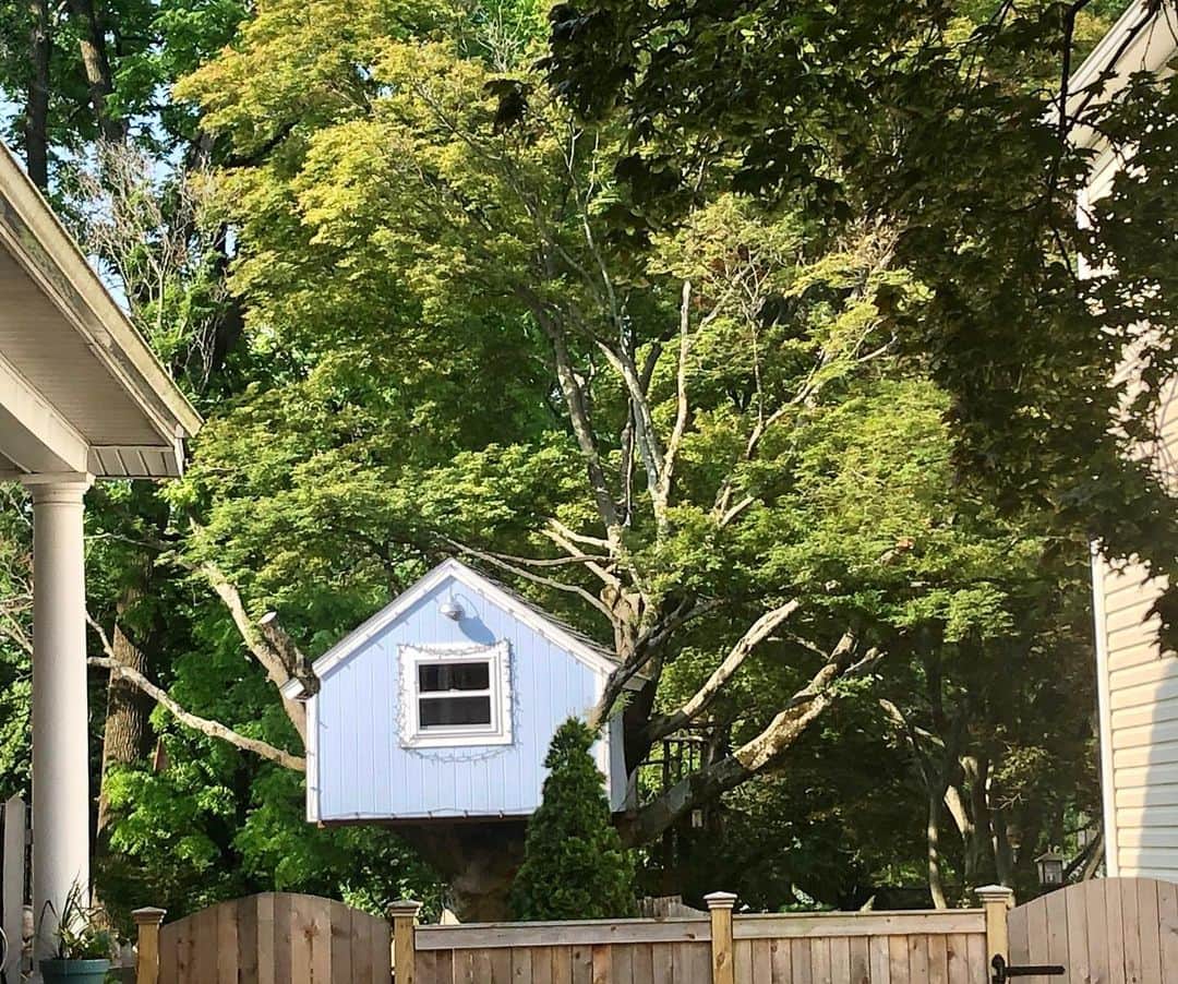 のインスタグラム：「コレコレコレ！ ツリーハウス🌳 子供の頃憧れたなぁ〜☺️ . #usa #america #studyabroad #tree #treehouse #kids #dream #outdoor #green #garden #backyard #house #アメリカ #留学 #アメリカ生活 #庭遊び #木 #ツリーハウス #子供 #憧れ #新緑 #住宅街 #風景 #散歩 #お家 #秘密基地」