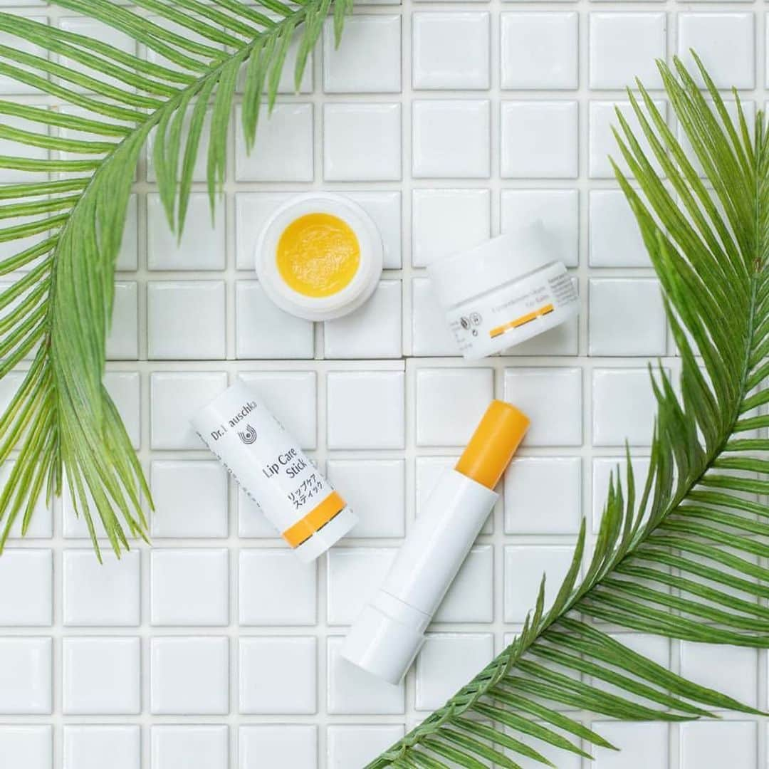 Dr. Hauschka Japan ドクターハウシュカのインスタグラム