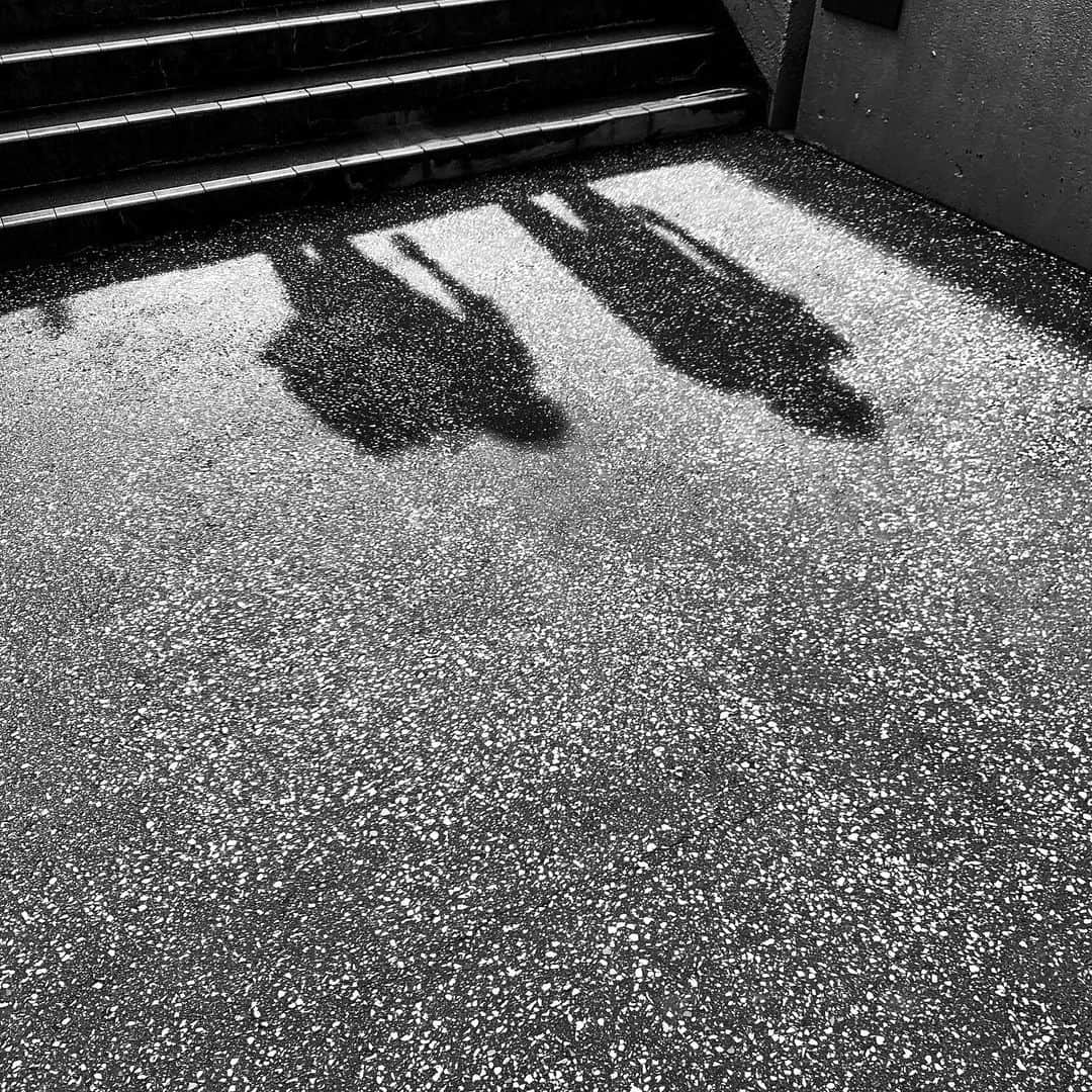 naotakeのインスタグラム：「階段 - Stairs / iPhone XR + Snapseed, 20190730 . . 暑くて溶けそうな毎日。 . . #royalsnappingartists #infamous_family #rsa_main #infinity_photo_cult #2_fineart #jp_gallery #jp_gallery_bnw #trb_bnw #wp_bnw  #bnw_life #bnwlife_member #bnw_life_shots #bnw_captures #world_bnw #top_bnw #team_jp_ #team_jp_モノクロ #ig_energy_bw #ig_nihon #streetphotographybnw #igersjp #blackandwhite #bnw #bnwphoto #monochrome #bw #bnwphotography #ShotOniPhone #shotoniphoneXR」