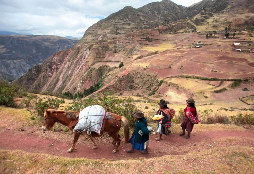 National Geographic Travelさんのインスタグラム写真 - (National Geographic TravelInstagram)「Photo by @sofia_jaramillo5 | Women use a horse to transport potatoes above a rural community in the Sacred Valley near Urubamba, Peru. Potatoes and corn are common crops grown in the area. For more  photos from Peru and South America follow @sofia_jaramillo5 . #Peru #TravelSouthAmerica #SacredValley #traveldaily」7月29日 19時00分 - natgeotravel