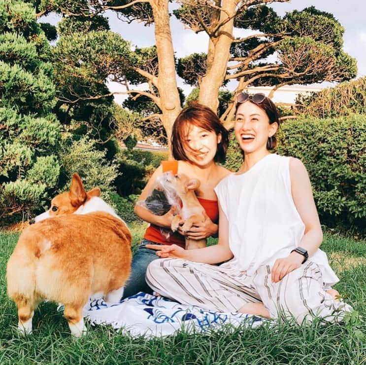 宮坂灯里さんのインスタグラム写真 - (宮坂灯里Instagram)「めっちゃ癒された🐶🐶🐶 #犬#素敵な家族#休日#バーベキュー#楽しいひと時#bbq#dogs#cute #happy#holiday 💘」7月29日 19時16分 - m.akari27