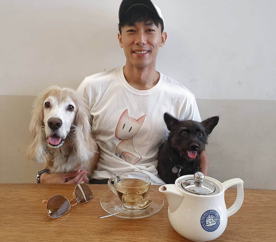デスモンド・タンのインスタグラム：「Quality time with my boys today! Finally, after 2 months of filming in Taipei! 太想我的陈河狮和陈乌东了!  Brought them to a cafe after bringing Hoshi to @springveterinarycare to get his tearing eyes checked. I'm sure he will recover very soon with the medication! Gentle reminder to all pawrents: do pay close attention to furkids' eyes especially as they age to keep their eyes healthy and sparkling! 🐶🐶 #hoshitan #陈河狮 #englishcockerspaniel #udontan #陈乌东」