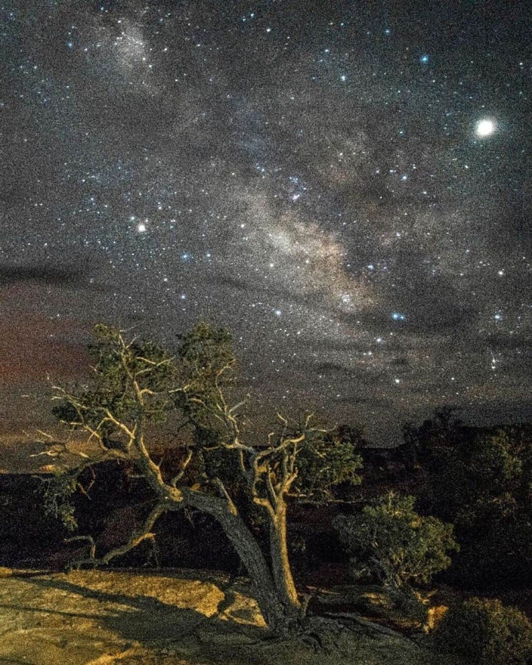 Ricoh Imagingさんのインスタグラム写真 - (Ricoh ImagingInstagram)「Posted @withrepost • @frankleeruggles Jupiter and the Milky Way held a contest last night to see which one could be the most beautiful thing in the Night Sky over Canyonlands National Park.  Who do you think was the winner?  I think it was the guy with the camera.  @canyonlandsnps #utah #utahphotographer #visitutah #utahphotography #utahisrad  #instaphoto #landscapephotography #nationalparkgeek  @nationalparkservice  @nationalparktrust @usinterior #earth_shotz #NPGeekAmbassador #optoutside #nationalparkgeek @natgeo #bpmag  #outdoorphotomag  #national_park_phototography #moab #milkyway #astronomy #nightscape @milkwaychasers #astrophoto  #starrynight  #ig_astrophotography  #nightphotography #longexposure  #natgeospace #milkywaygalaxy #pentax645z #pentax645ambassador @ricohpentax @ricohusa  #mediumformat  #Ricoh #Pentax」7月30日 5時24分 - ricohpentax