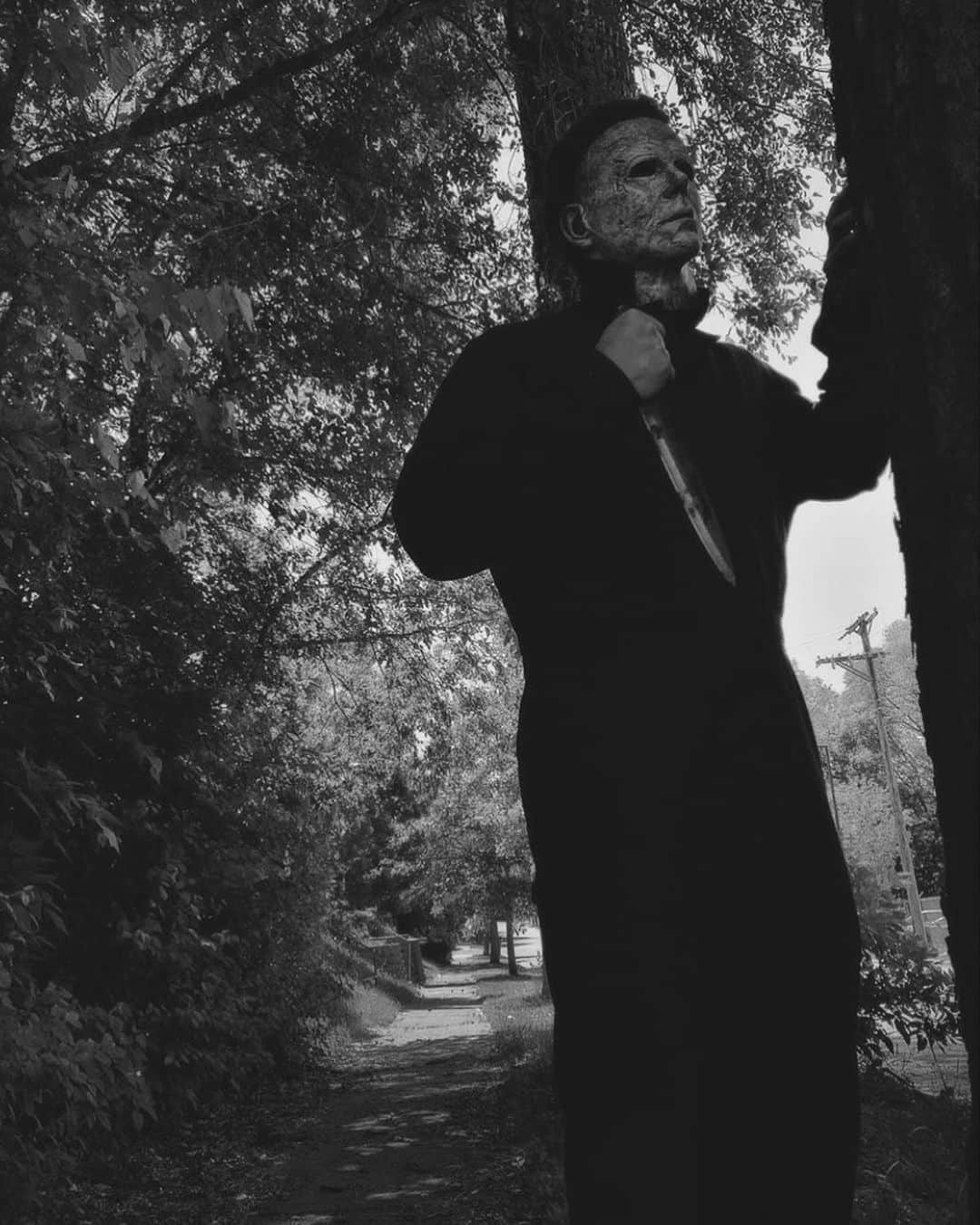 ジョン・カーペンターさんのインスタグラム写真 - (ジョン・カーペンターInstagram)「You see Michael Myers in your backyard, what do you do? #run #fight #cry #horrormovies #halloweenmovie」7月30日 6時01分 - johncarpenterofficial