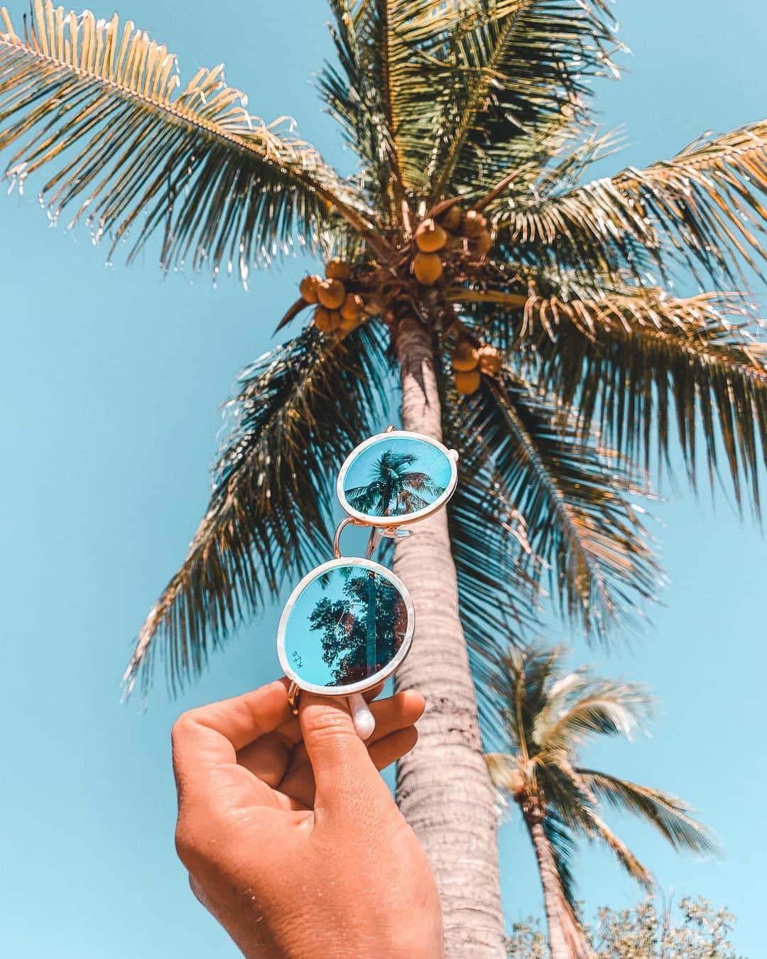 Kapten & Sonさんのインスタグラム写真 - (Kapten & SonInstagram)「'Find me under the palms.' 🌴 @withsaltypassports shows us their new favorite sunny - Amsterdam Pearl Blue Mirrored! Discover all our beloved Kapten products in our summer sale! 💙 #bekapten #kaptenandson⁠⠀ .⁠⠀ .⁠⠀ .⁠⠀ #tropical #palmtrees #summer #wanderlust #holiday #takemethere #passportpassion #paradise #shades #sunnies #eyewear #ootd」7月29日 21時22分 - kaptenandson