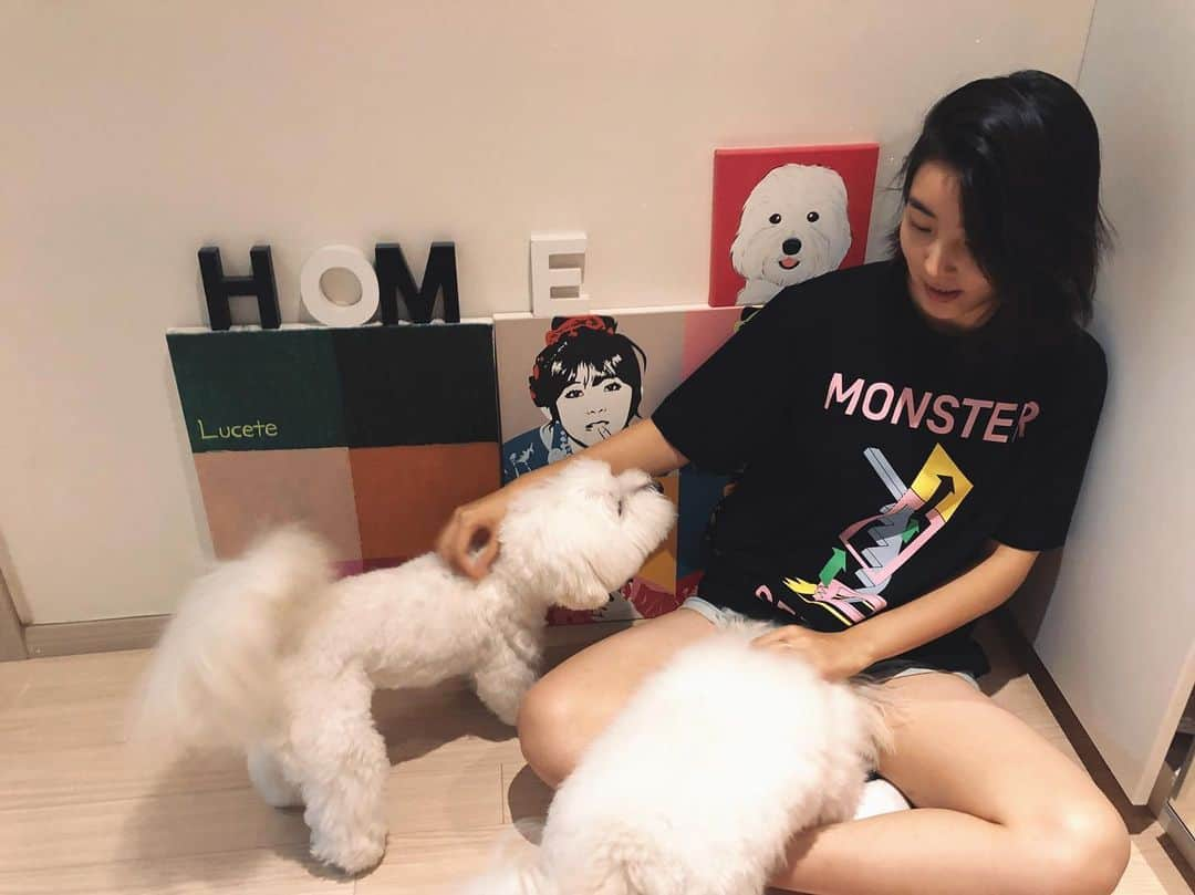 ソヒョン さんのインスタグラム写真 - (ソヒョン Instagram)「사랑스러운 아가들 🐶🐶 솜뭉탱이와 털뭉탱이 😍😍」7月29日 21時33分 - kkwonsso_94