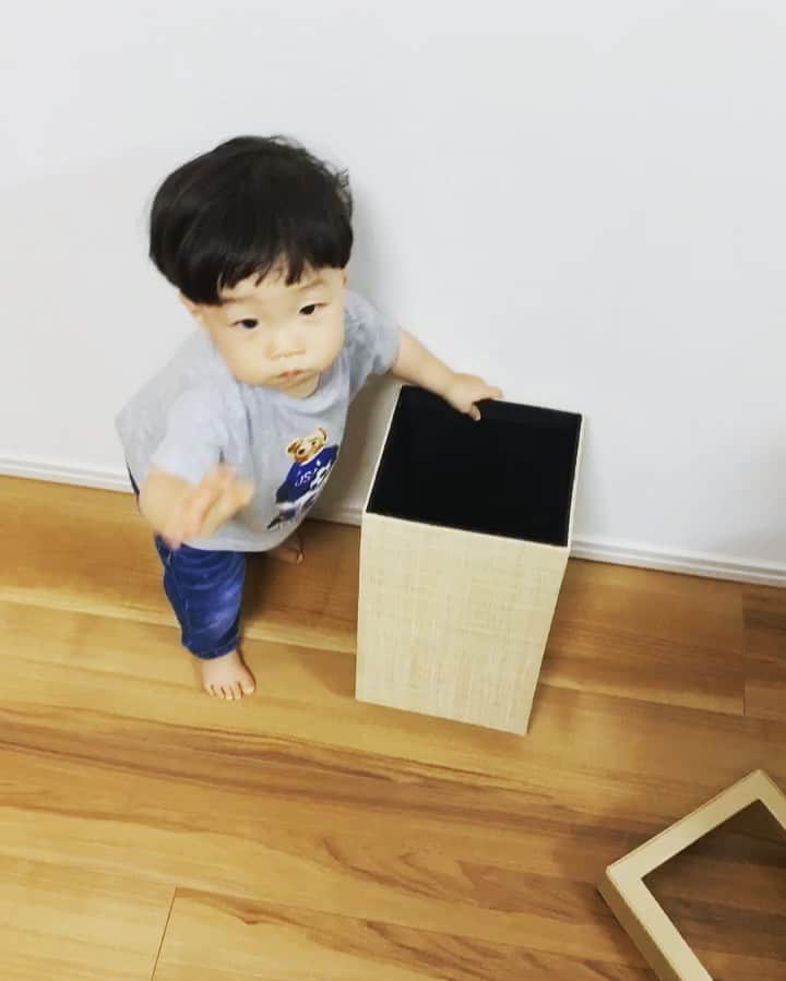 のインスタグラム：「ゴミ箱の中になにか入ってるの？」