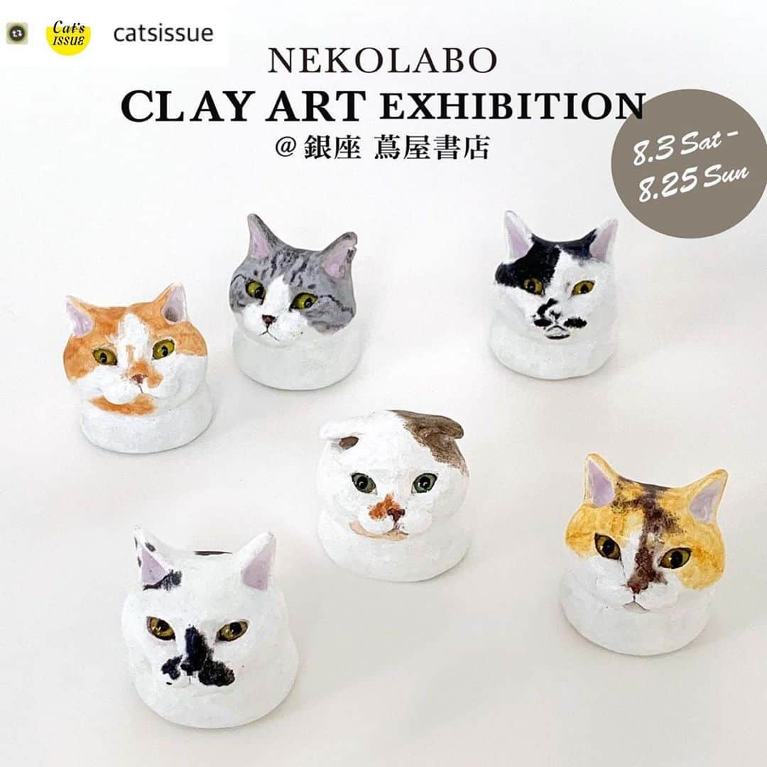 猫ラボさんのインスタグラム写真 - (猫ラボInstagram)「銀座SIX 蔦屋書店で開催中のcat’s ISSUEサマーギフトフェア、後半に参加します。 初の粘土シリーズ、写真のみなさまご存知猫さんのほかにもたくさんいますので、ぜひ見にきてくださいー！  @catsissue 【SUMMER GIFT by Cat’s ISSUE】﻿﻿﻿﻿ @銀座 蔦屋書店﻿﻿﻿ 後半展示：8月3日(土)〜8月25日(日)﻿ NEKOLABO 「CLAY ART EXBITION」﻿ ﻿ フェア後半の展示では、羊毛フェルトとオリジナルグラスアイでリアルな猫の姿を作り出す作家、猫ラボさんによる初めてのクレイ作品をお披露目いたします！﻿ 精巧で可愛いネコたちが集まる特別な機会です！﻿ 展示されている作品はご購入いただけますが、﻿期間中はすべての作品がご覧いただけます。﻿ ﻿ 団扇作品も好評につき、引き続き展示販売いたします。﻿ 前半の展示を見逃した方も、この機会にぜひ！﻿ みなさまのご来店をお待ちしております！﻿ ﻿ ------------﻿ NEKOLABO 「CLAY ART EXBITION」﻿ 作品につきまして﻿ ------------﻿ ‪8月3日(土)10時‬開店後、‪10時30分‬より販売いたします。﻿ ご希望のお客様は所定の場所(銀座 蔦屋書店 北側エスカレーター脇)に順番にお並びいただき、整理券の配布し、‪10時30分‬より順番にご案内いたします。﻿ ﻿ 【注意事項】 ・上記作品は全て1点もの、先着順での販売とさせていただきますのでご了承ください。 ・おひとり様につき、各1点までのご購入とさせていただきます。 ・お会計時にお客様控えをお渡しいたします。商品引取りまで紛失されないよう保管ください。 ・商品のお渡しは会期終了後の8月27日以降になります。 ・配送ご希望のお客様は、8月27日以降、順次配送とさせていただきます。 ・いかなる理由におきましても、ご購入後の返品・交換は承れません。 ・お問い合わせは銀座 蔦屋書店 03-3575-775までお願いいたします。  上記のアーティスト作品以外の商品は10時よりどなたでもご自由にご購入いただけます。 また、当日の混雑状況により、ご案内開始時間を前倒す可能性があります。ご了承ください。 ﻿ #catsissue #銀座 #銀座SIX #銀座蔦屋書店﻿﻿﻿ #summergiftbycatsissue ﻿﻿ #summergift ﻿」7月29日 22時01分 - nekolabo