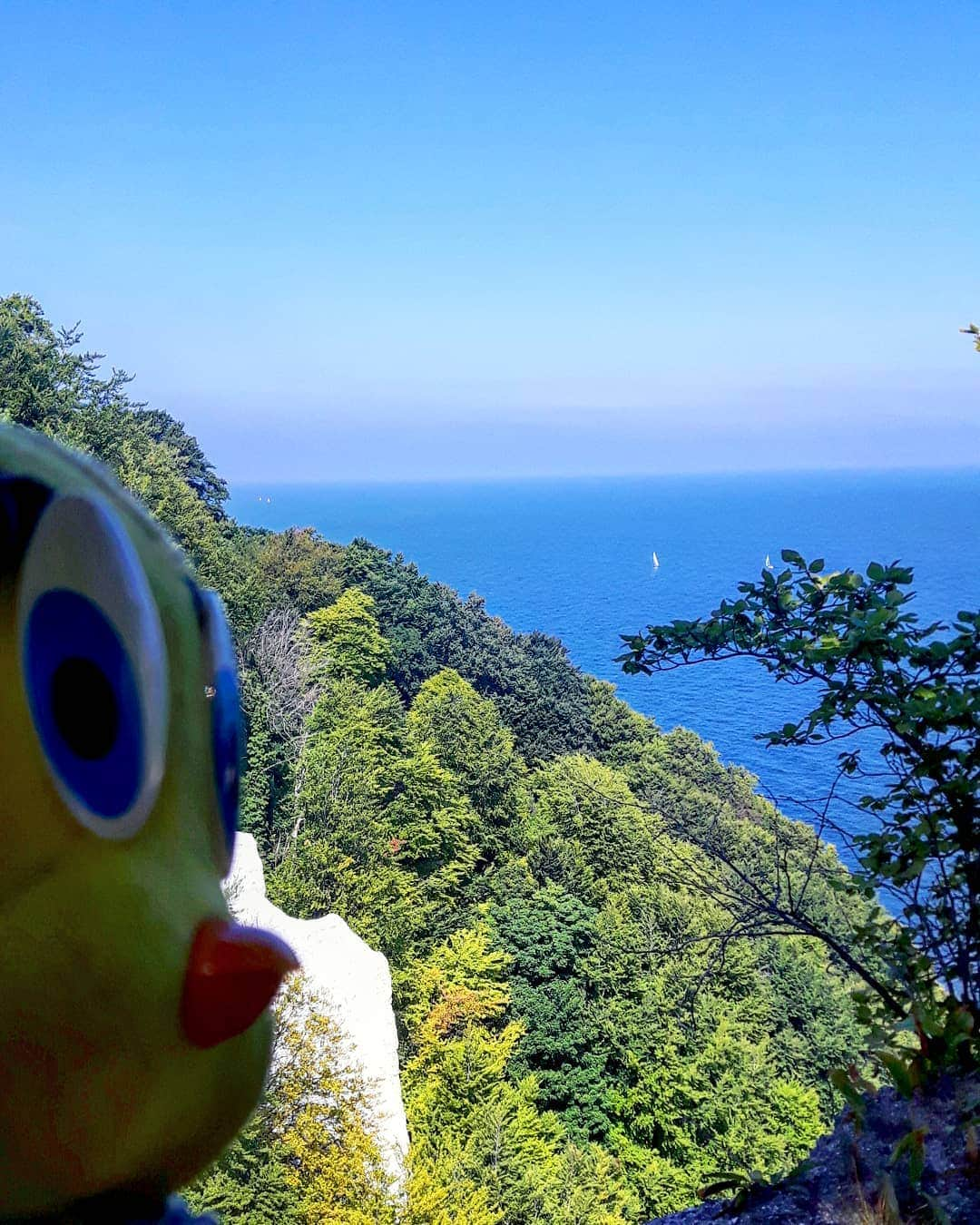 Little Yellow Birdさんのインスタグラム写真 - (Little Yellow BirdInstagram)「Mmmpphhh...it's Monday...Let's pretend it's not. And that I'm back here, on Rügen. With that view. Yes, let's!! #littleyellowbird #tweety #tweetykweelapis #adventures #yellow #bird #monday #mondayblues #mondayssuck #escapism #throwback #rügen #germany #sea #seaview #bluewater #bluesky #ostsee #stuffedanimalsofinstagram #plushiesofinstagram」7月29日 22時01分 - tweetykweelapis