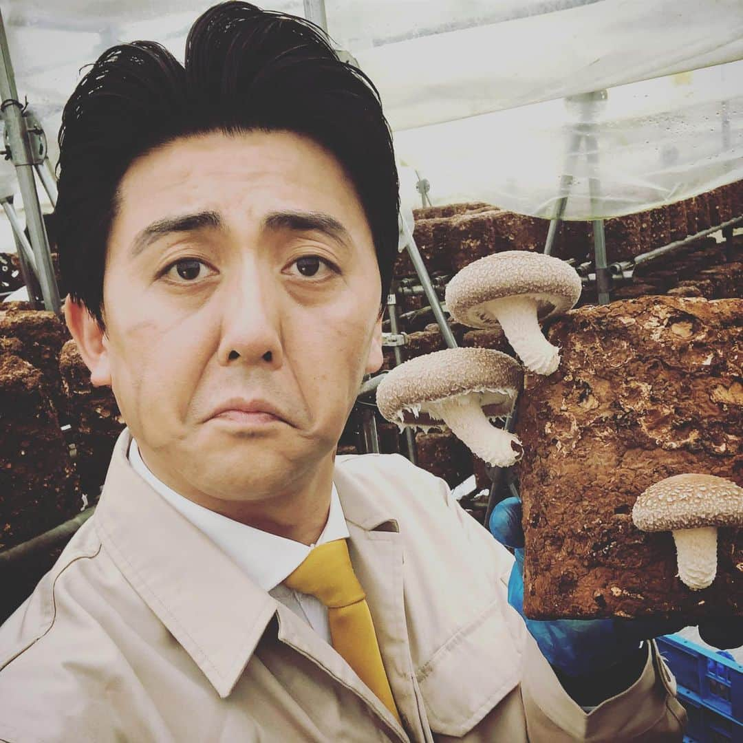 佐竹正史さんのインスタグラム写真 - (佐竹正史Instagram)「スキージャンプのレジェンド 葛西紀明選手と握手をさせて頂きました🤝✨ こちらは北海道は下川町、わたしはこの町の職業体験に伺いました。 この下川町という町は人口こそ少なく約3300人くらいなのですが 「第１回ジャパンSDGsアワード」で 内閣総理大臣賞を受賞した町なんです。 林業が盛んな町で、木を無駄なく利用し、端材の様な木屑すら燃料にし、熱を利用して椎茸農園で使用したり、街の施設の暖房に利用したり、その施設や農園の働き手の雇用をさらに生んだり。 街の中で行われている事がSDGs(持続可能な2030年までに行う世界で掲げられている目標)そのものなんです。 と難しくいうと『は？』となってしまうので、みんなでもうちょい踏み込んで地球のこと、世界のことを考えましょう。的な事です。 またこの町はスキージャンパーの聖地でもあり レジェンド葛西紀明さんを筆頭にたくさんのスキージャンパーを輩出しております。 未来のスキージャンパーの祝賀会にも参加させて頂きました🎌 たくさんのメダルを獲得する選手が出てくる事を楽しみにしましょう⛷ . 葛西選手ありがとうございました🎌 . . . #本日の首相と握手 #葛西紀明 さん #スキージャンプ #レジェンド #北海道 #下川町 #SDGs #安倍晋三 #安倍総理 #ビスケッティ佐竹 #よしもと #吉本 #skyjump  #japan #japanese #japaneseculture #japanesecomedian #primeminister #shinzoabe #impersonator  #本物の総理みたいな仕事 #佐竹オススメンバー」7月29日 22時11分 - sataketty