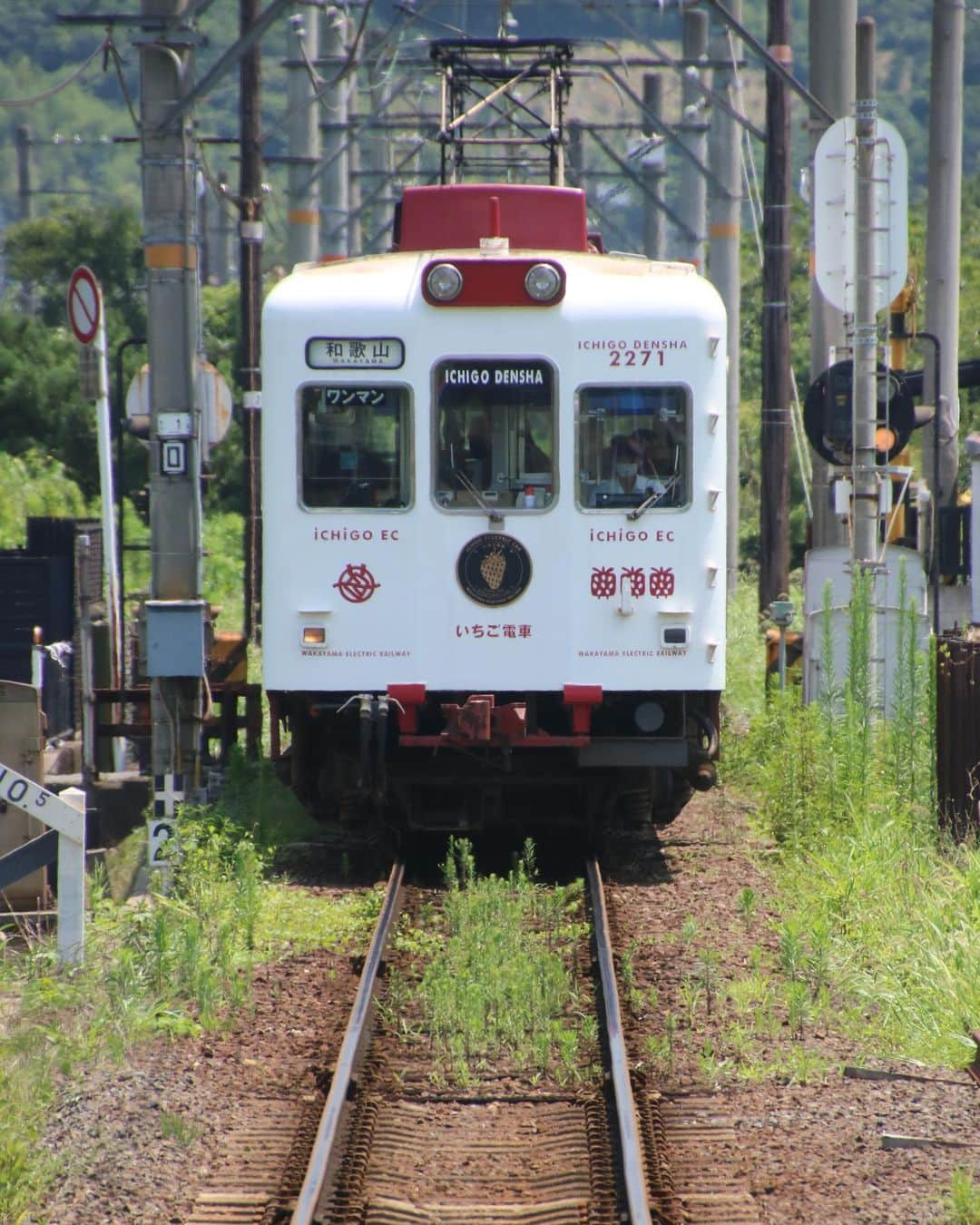 徳永ゆうきさんのインスタグラム写真 - (徳永ゆうきInstagram)「今日は和歌山電鐵へ。 #鉄道写真 #撮り鉄 #鉄道好き #和歌山電鐵 #伊太祈曽駅 #2270系 #いちご電車 #和歌山行き #ワンマンカー」7月29日 22時59分 - tokuchan_1113