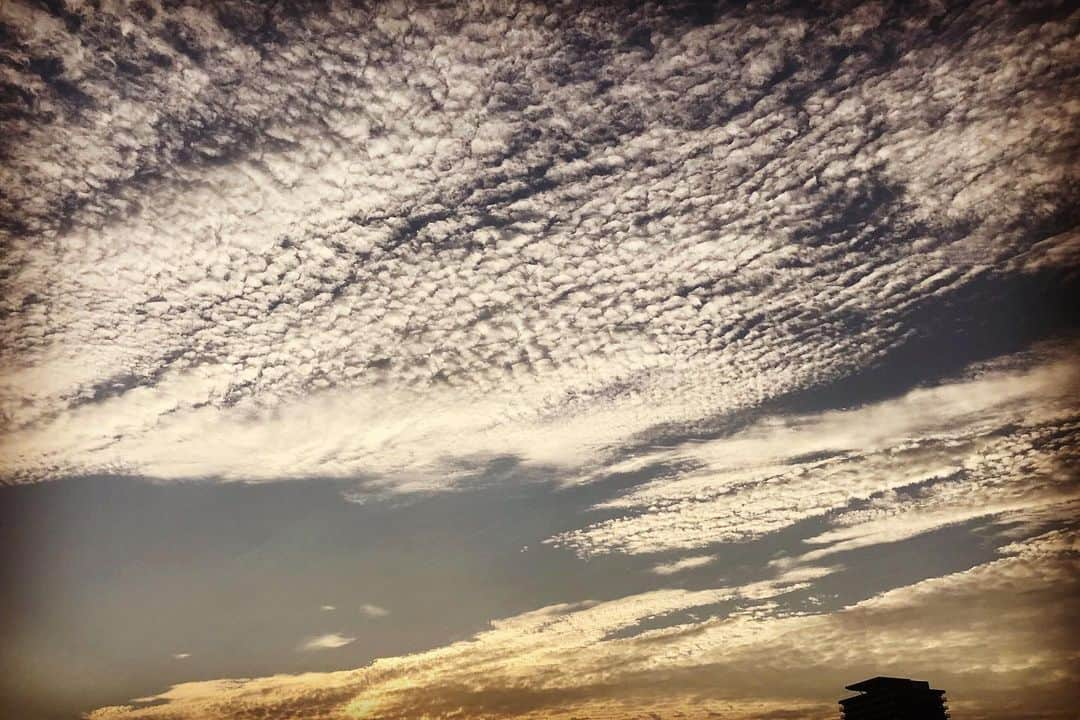 清水健さんのインスタグラム写真 - (清水健Instagram)「【見上げた空】 素敵な空です。  焦るな！やりきれ！ みんな頑張ってる！ 笑ってるか！頑張れ！  仕事から帰り、 玄関を開ける前に。  明日も頑張ろって思う。  玄関を開けると、 おかえりー！の元気な声。  うん、明日も頑張れる！  今日は9月28日 #ピンクリボン イベント、 打合せ、練習、 #宝塚市立看護専門学校 、 @shiraidaisuke 。  みんなありがとー。 もうすぐ詳細アップです。  皆様にありがとうございます。  #清水健講演会 ／出演依頼等は、 清水健オフィシャルホームページ #112日間のママ #シミケン 。  ギックリ腰の様子をみながら汗、 #清水健 #息子とパパ  二人で軽く運動！のはずが、 汗びっしょりに。#大切時間 です。  暑い日が続きます。 熱中症対策、 水分補給は忘れずに、です。」7月29日 23時03分 - shimizuken.official