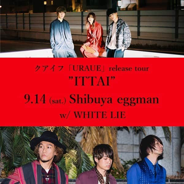 クアイフさんのインスタグラム写真 - (クアイフInstagram)「【ツアー②】 クアイフ「URAUE」 release tour "ITTAI"  9/14(土) Shibuya eggman OPEN 16:30 / START 17:00 w/ WHITE LIE  チケット：オールスタンディング3,000円(税込) ※ドリンク代別  ミニアルバム「URAUE」 2019年8月28日リリース！  Photo:@yusuke_mphoto  #クアイフ #qaijff #クアイフィールド #バンド #band #keyboard #bass #drums #music #jpop #名古屋 #アルバム #グランパス #grampus #football #soccer #337km #いたいよ #parasite #クレオパトラ #ハッピーエンドの迎え方 #桜通り #自由大飛行 #vivalacarnival #ライブ #live #eggman #whitelie」7月29日 23時27分 - qaijff.official