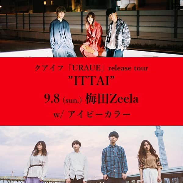 クアイフさんのインスタグラム写真 - (クアイフInstagram)「【ツアー①】 クアイフ「URAUE」 release tour "ITTAI"  9/8(日) 梅田Zeela OPEN 16:30 / START 17:00 w/ アイビーカラー  チケット：オールスタンディング3,000円(税込) ※ドリンク代別  ミニアルバム「URAUE」 2019年8月28日リリース！  Photo:@yusuke_mphoto  #クアイフ #qaijff #クアイフィールド #バンド #band #keyboard #bass #drums #music #jpop #名古屋 #アルバム #グランパス #grampus #football #soccer #337km #いたいよ #parasite #クレオパトラ #ハッピーエンドの迎え方 #桜通り #自由大飛行 #vivalacarnival #ライブ #live #梅田zeela #アイビーカラー」7月29日 23時28分 - qaijff.official