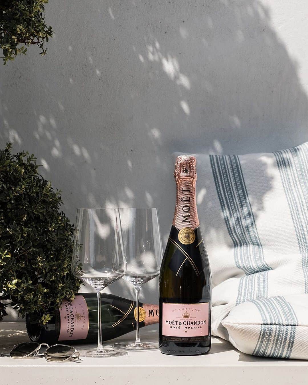 Moët & Chandon Officialさんのインスタグラム写真 - (Moët & Chandon OfficialInstagram)「Cicadas and Moët & Chandon. Picture by @tibods #MoetMoment #MoetRose #Mood . . This material is not intended to be viewed by persons under the legal alcohol drinking age or in countries with restrictions on advertising on alcoholic beverages. ENJOY MOET RESPONSIBLY」7月30日 0時23分 - moetchandon