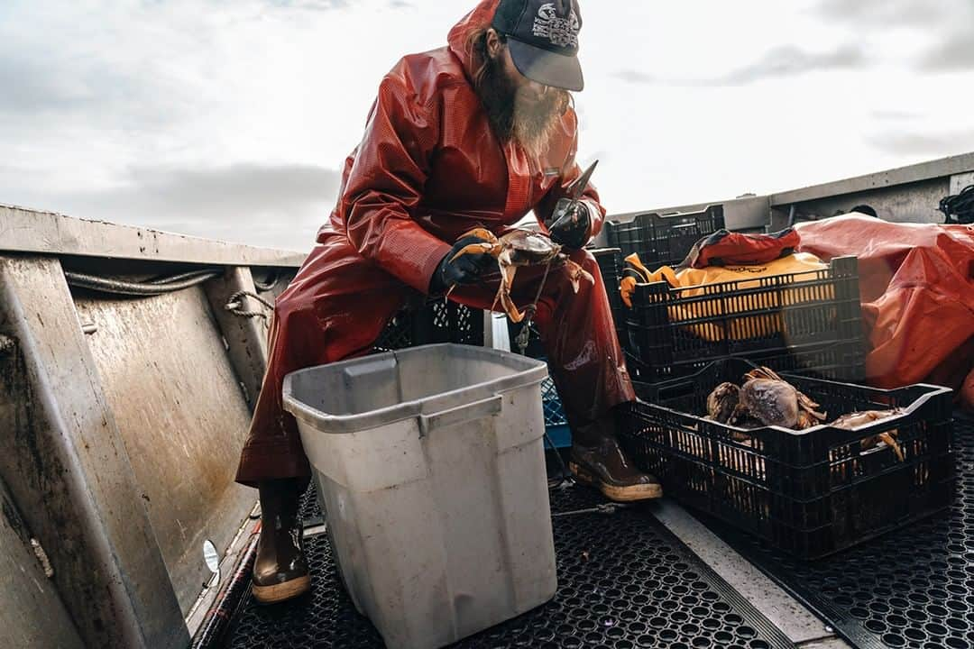 patagoniaさんのインスタグラム写真 - (patagoniaInstagram)「Gone crabbin’. Amphibious doer Mickey Murch keeps the menu interesting for Gospel Flat Farm’s 24-hour self-serve community farm stand. Bolinas, CA.⁠ Photo: @colinnnnn⁠」7月30日 1時00分 - patagonia