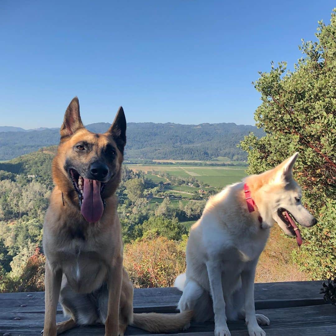 ダニカ・パトリックさんのインスタグラム写真 - (ダニカ・パトリックInstagram)「Babies had fun running trails again!!! Of course they found little burr bushes to walk through but their joy was all that mattered!  Nature is my jam. I love it. I truly believe it is impossible to feel worse after being on the beach or in the mountains or next to a river or a lake. I dare you to prove me wrong. (Bites and stings out there don’t count! 🤣)」7月30日 1時01分 - danicapatrick