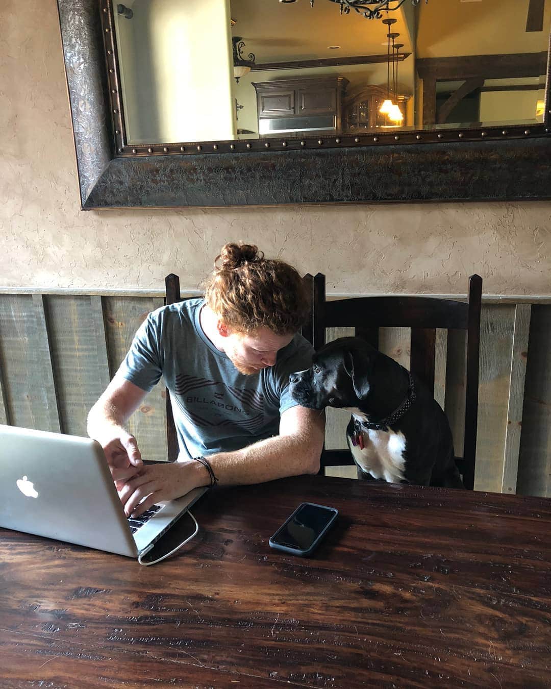 ヒンダーのインスタグラム：「Cody's Little Helper for the day 🐶🐶 #dogsarelife #nooffdays」