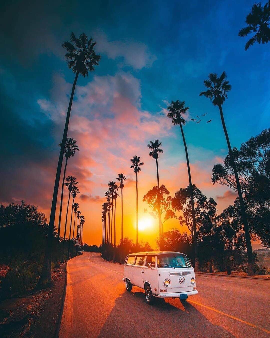 PicLab™ Sayingsさんのインスタグラム写真 - (PicLab™ SayingsInstagram)「California dreamin ~ California, United States  Which is photo is your favorite? 1, 2, 3, 4, 5 or 6?  Photos:  1- @natecarroll.la  2- @dest0n  3- @audiotistic_  4- @john.logic  5- @thenoahbaker  6- @kingcreeze」7月30日 1時17分 - paradise