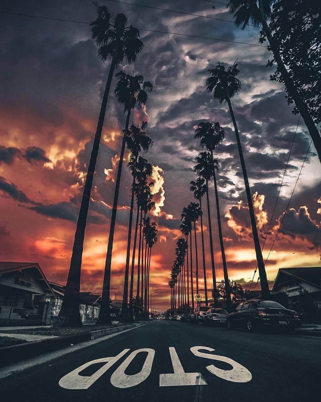 PicLab™ Sayingsさんのインスタグラム写真 - (PicLab™ SayingsInstagram)「California dreamin ~ California, United States  Which is photo is your favorite? 1, 2, 3, 4, 5 or 6?  Photos:  1- @natecarroll.la  2- @dest0n  3- @audiotistic_  4- @john.logic  5- @thenoahbaker  6- @kingcreeze」7月30日 1時17分 - paradise