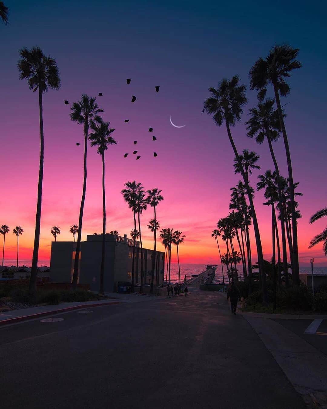 PicLab™ Sayingsさんのインスタグラム写真 - (PicLab™ SayingsInstagram)「California dreamin ~ California, United States  Which is photo is your favorite? 1, 2, 3, 4, 5 or 6?  Photos:  1- @natecarroll.la  2- @dest0n  3- @audiotistic_  4- @john.logic  5- @thenoahbaker  6- @kingcreeze」7月30日 1時17分 - paradise