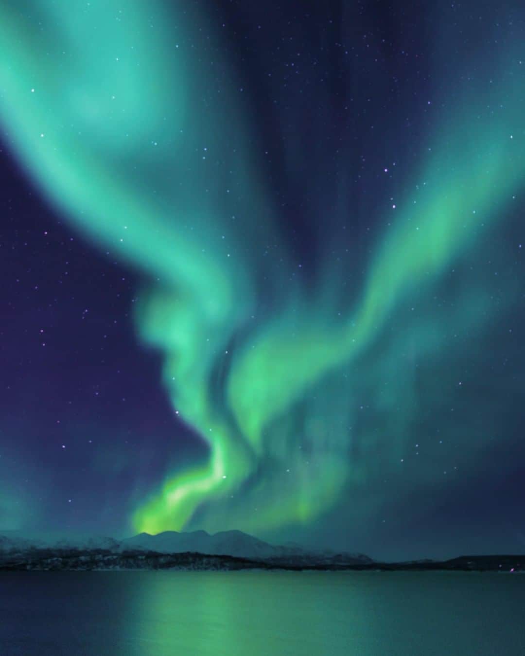 スカーゲンさんのインスタグラム写真 - (スカーゲンInstagram)「Discover our latest jewel-toned collection, inspired by the Aurora Borealis via our link in bio. #SKAGENincolor . . . . . #northernlights #auroraborealis #awesomeearth #mood」7月30日 1時15分 - skagendenmark