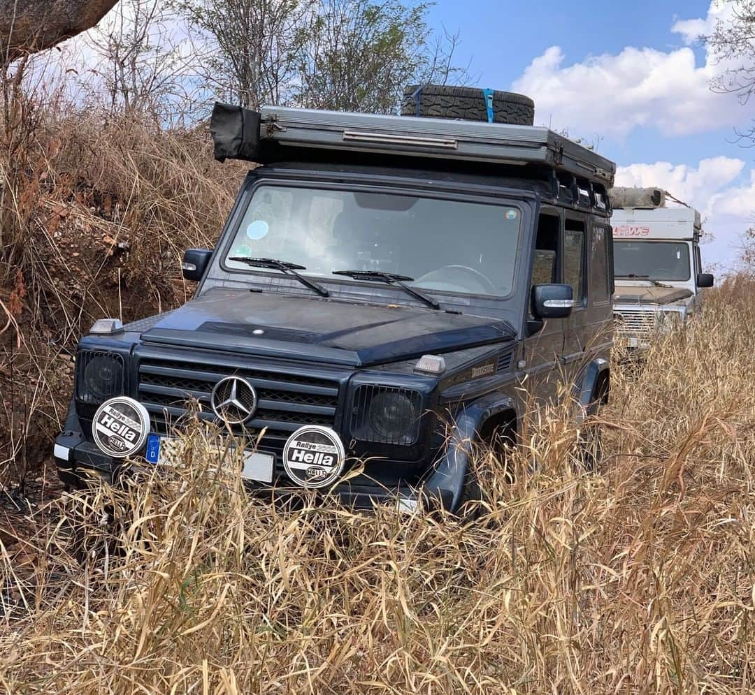 メルセデス・ベンツさんのインスタグラム写真 - (メルセデス・ベンツInstagram)「Ready for an awesome adventure? Follow the G-Class on its path across Africa. Although some tracks you’ll have to discover yourself. 🦁🌍 #MBdrivingevents #drivingevents  #thebestornothing #GClass #strongerthantime #travel #exploring #travelexperience #africa #savanna #adventure #offroad」7月30日 1時18分 - mercedesbenz