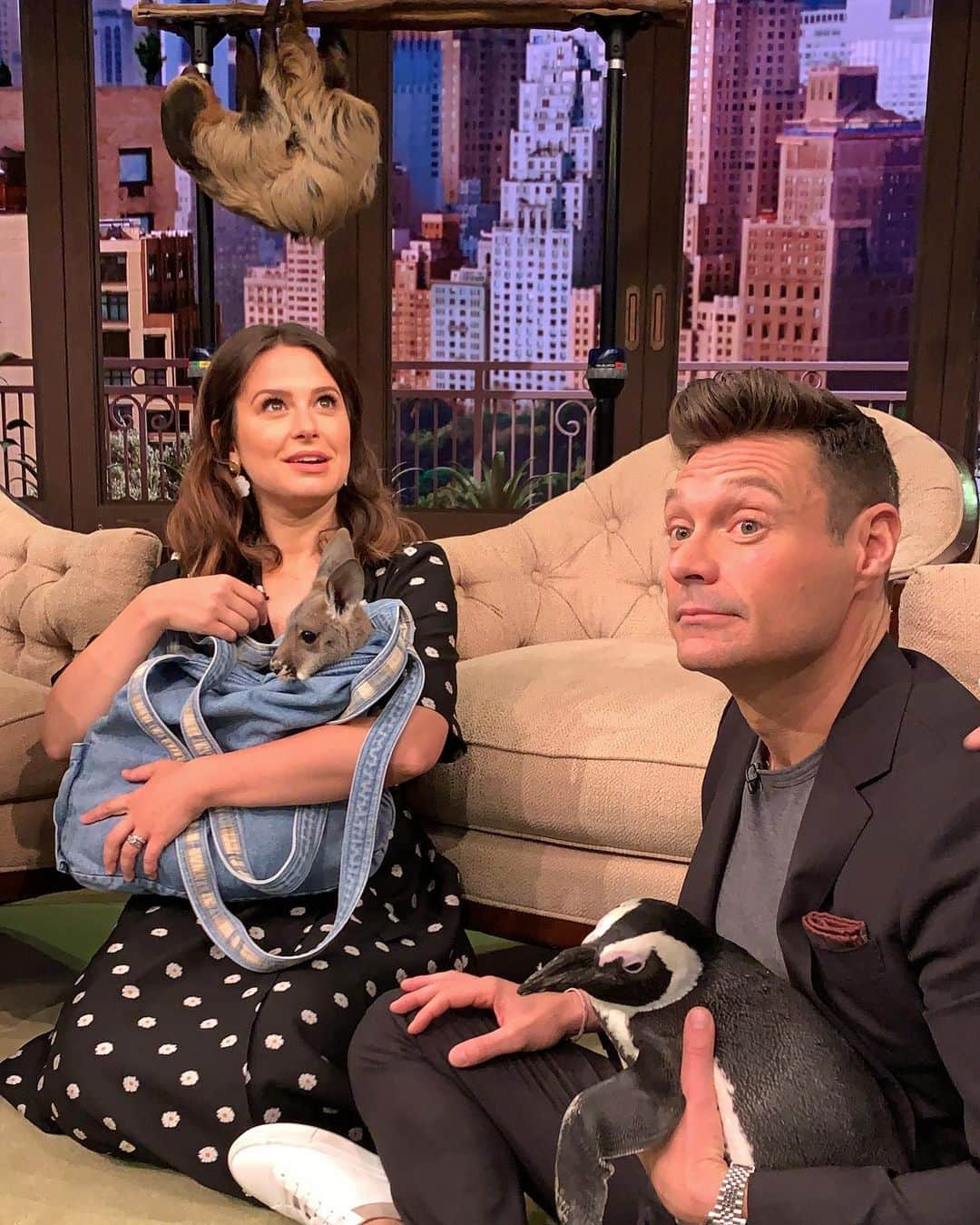 ケイティ・ロウズさんのインスタグラム写真 - (ケイティ・ロウズInstagram)「This is...NOT American Idol. 😂😂😂 Best morning ever. #Kangaroo #Sloth #Penguin #Seacrest  @ryanseacrest @livekellyandryan @columbus_zoo」7月30日 1時40分 - ktqlowes