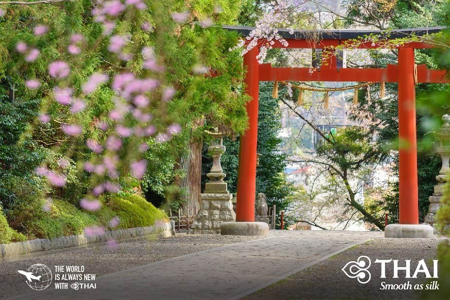 タイ航空さんのインスタグラム写真 - (タイ航空Instagram)「Osaki Hachimangu Shrine in Sendai, Japan, was constructed in the beginning of the 15th century by the order of Date Masamune, Sendai's founder, to worship Hachiman, the Shinto God of War. . #ThaiAirways #Sendai #Miyagi #Japan #OsakiHachimangu #OsakiHachimanguShrine」7月30日 1時57分 - thaiairways