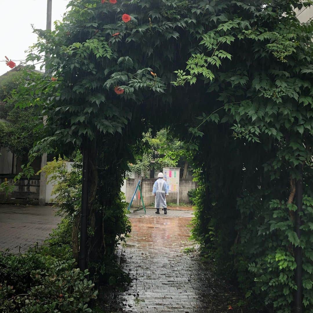 Kensho Onukiさんのインスタグラム写真 - (Kensho OnukiInstagram)「ねこじゃらし公園から自由が丘に続く遊歩道にあるホンの数メートルの緑のトンネル。けど通り抜けるとスッと気分が軽くなるような。チャリは降りますよ。#greenpower #大貫憲章チャリ散歩 #緑のトンネル #花も咲いてる」7月30日 3時37分 - kensho_onuki