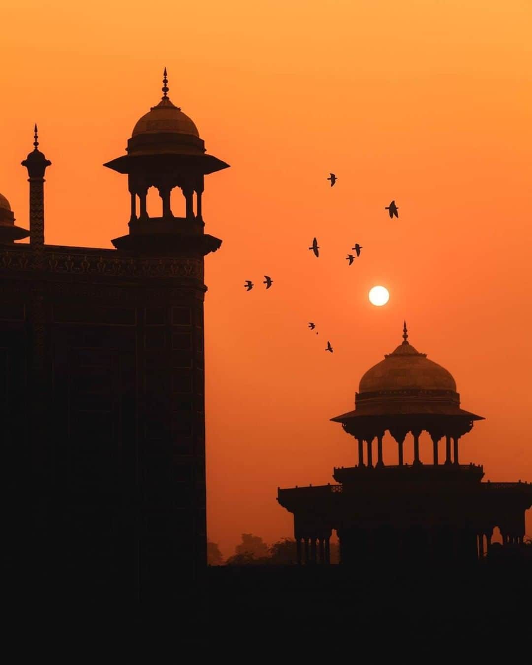 Canon Asiaのインスタグラム：「"I woke before sunrise, waiting to enter the Taj Mahal. Initially, I was disheartened by the severe smog that morning, since it was likely the only opportunity in my life to not only witness the beauty of the spectacular mausoleum, but also take pictures of it - a dream for most photographers. I didn’t let it get the better of me. Instead, I reminded myself that adverse conditions sometimes lead to more creative opportunities. As the sun rose, its rays lit up the dense smog, creating an amazingly rich background for the silhouettes of the building to stand against. It wasn’t the image that I envisioned taking, but the end result was special and beautiful.” • With his shot of the iconic Taj Mahal, @_bradgregory reminds us why photography can be a true test of resilience. The choice is yours: you can bow down 🙇‍♂️ to unfavourable circumstances, or view it as a chance for creative experimentation 🎨 and growth! 👍 • 📷 Image by @_bradgregory shot using the Canon EOS 5DS | Canon EF 24-105mm f/4L IS USM Lens | f/10 | 1/1000s | ISO 1600 | 75mm  Want your photos to be featured too? Tag them with #canonasia or submit them on My Canon Story, link in bio!  #canonasia #photography #canonphotography #tajmahal #india_gram #india_clicks #travel #india #indian #travelphotography」