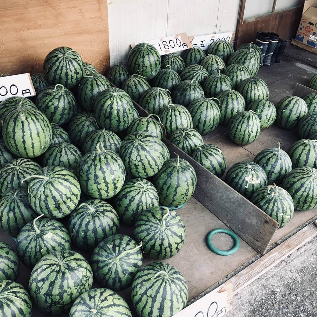 前園真聖さんのインスタグラム写真 - (前園真聖Instagram)「吉野川市のスイカが甘くてとても美味しかった🍉 😆 #スイカ #吉野川 #夏 #前園絶景 #しこく絶景たび #前園真聖」7月30日 14時08分 - maezono_masakiyo