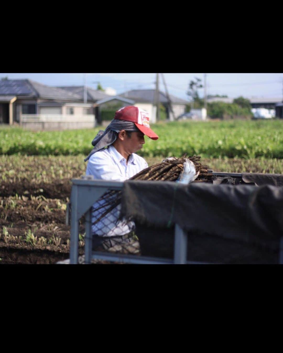 Yuri Sakuraiさんのインスタグラム写真 - (Yuri SakuraiInstagram)「: 来月の北海道マラソンに向けて、 ランニング!! やっと梅雨も開けてようやく走れる日が増える♪ : けど、暑さが尋常じゃない!!!! だいたい10kmを走るけど、同じ10kmでも暑い!!と 言うだけで、キツさが全然違うw : カフェのオーナー菊池さん(@mk_kiku )は、 毎日約30kmのウォーキング ダイエット継続させているのですが、 この炎天下でも変わらずに コツコツと継続する背中は本当にすごい!! : (もちろん水分補給などの管理はしながら♪) : 日々の努力の積み重ねに勝るものは ないな。と色んなチャレンジをしてると 本当に感じます!! : 難しいことをやるんじゃなくても、 小さなことも継続する意志とか、 精神力の強さをオーナーの背中から 沢山感じさせて貰ってます♪ : 今日も打ち合わせと夜の 観覧のMKTV生配信があるので終わったらランニング!! : ちなみに、鹿児島のオキスさんとコラボ しているごぼう茶。 : ごぼう茶と運動の組み合わせは 健康やダイエットにも最適らしく、 運動後に飲むと、吸収が良くなって、 ごぼうの成分が体に行き渡りやすくなるみたいで、 私もランニング後にいつもごぼう茶を飲んでます♪ : #ランニング#マラソン#フルマラソン#北海道マラソン#運動#スポーツ#継続#ダイエット#ウォーキング#マラソン女子#ごぼう茶#美容#オキスのごぼう茶#ごぼう茶娘#地方創生#農業#svolme##underarmour#GARMIN#running#training#workout#mkcafe#桜井有里」7月30日 14時21分 - yuri_sakuraiii