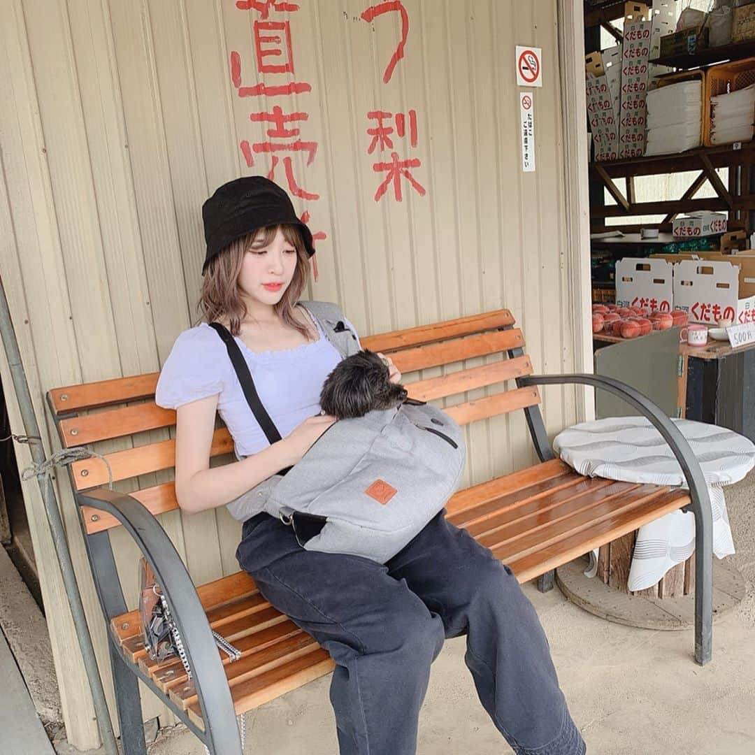 吉田菫のインスタグラム