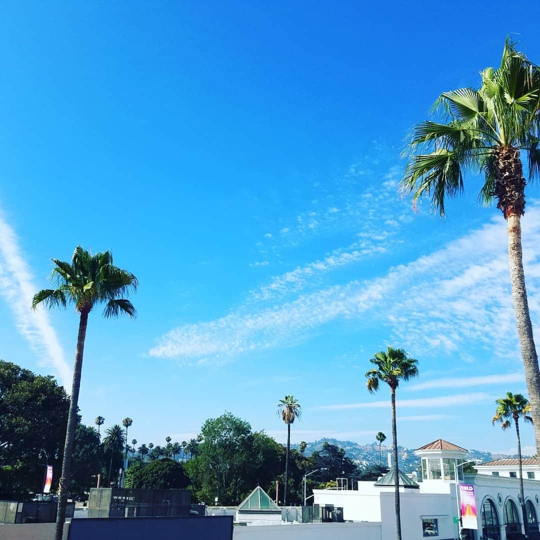 別所哲也さんのインスタグラム写真 - (別所哲也Instagram)「This is LA #la #tetsuya_bessho  #usatravel  #palmtree  #hollywood  #hollywoodstyle #japanese」7月30日 15時15分 - tetsuya_bessho