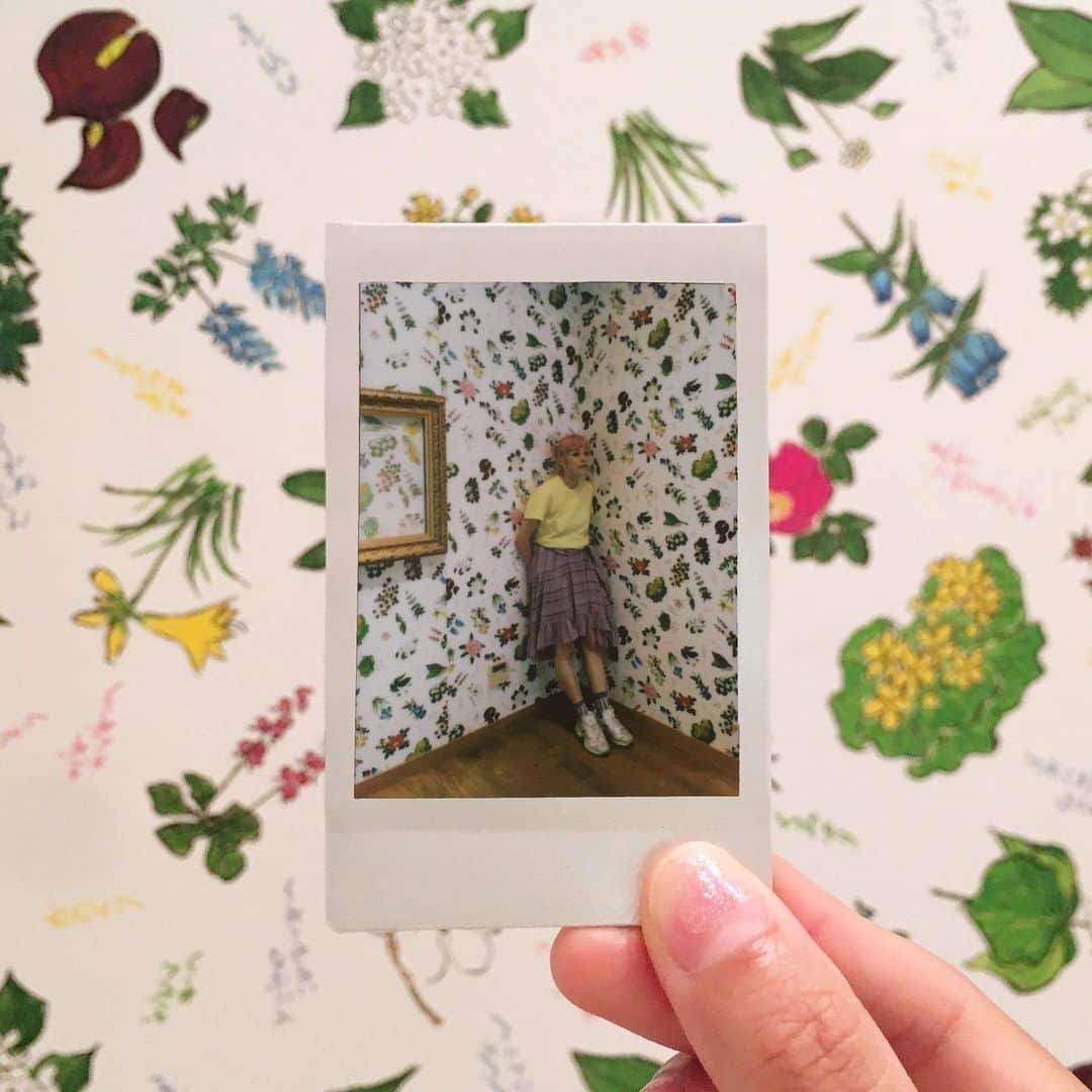 Momoのグルメインスタ