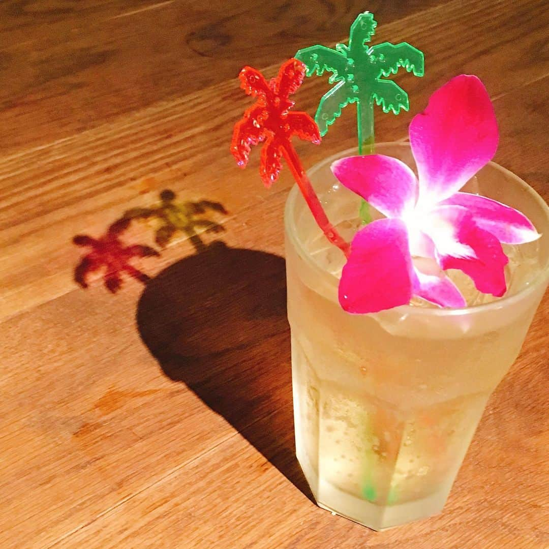 alohatable_waikikiさんのインスタグラム写真 - (alohatable_waikikiInstagram)「Paniolo HighBall ✖️Palm Tree🌴 #paniolowhiskey  食事のお供に、ハワイ産ウィスキーで作ったハイボールも是非  #paniolo #blendedwhisky #hawaiianwhiskey #highball #cocktails #ハイボール #パニオロウィスキー #ハワイアンウィスキー #ハワイアンハイボール #palmtree #パームツリー #ヤシの木 #stirstick #hawaiianrestaurant #ハワイアンレストラン #ワイキキディナー #waikikidinner #hawaiisbestkitchens #honolulufoodies」7月30日 7時09分 - alohatable_waikiki